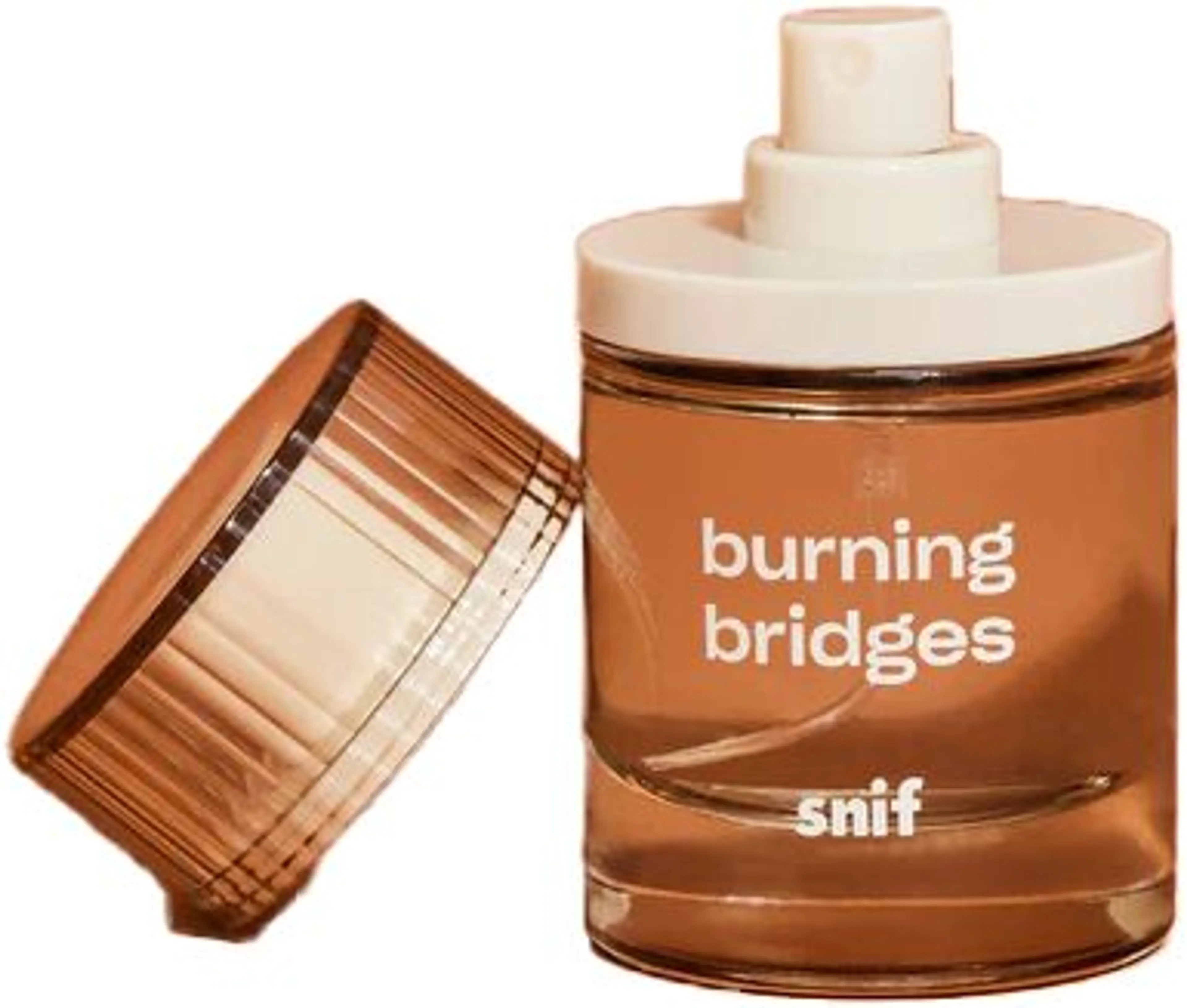 Burning Bridges