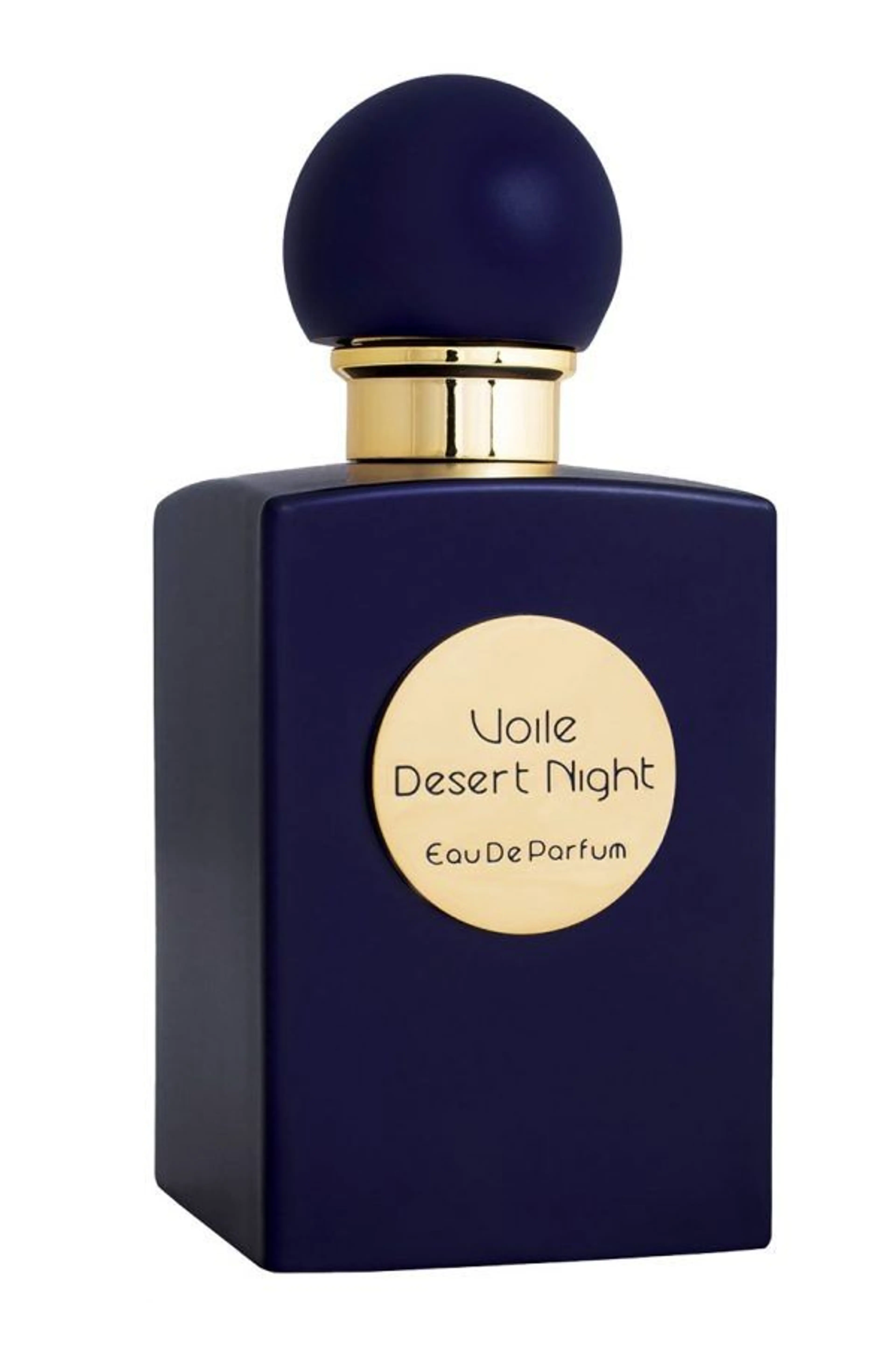 Desert Night