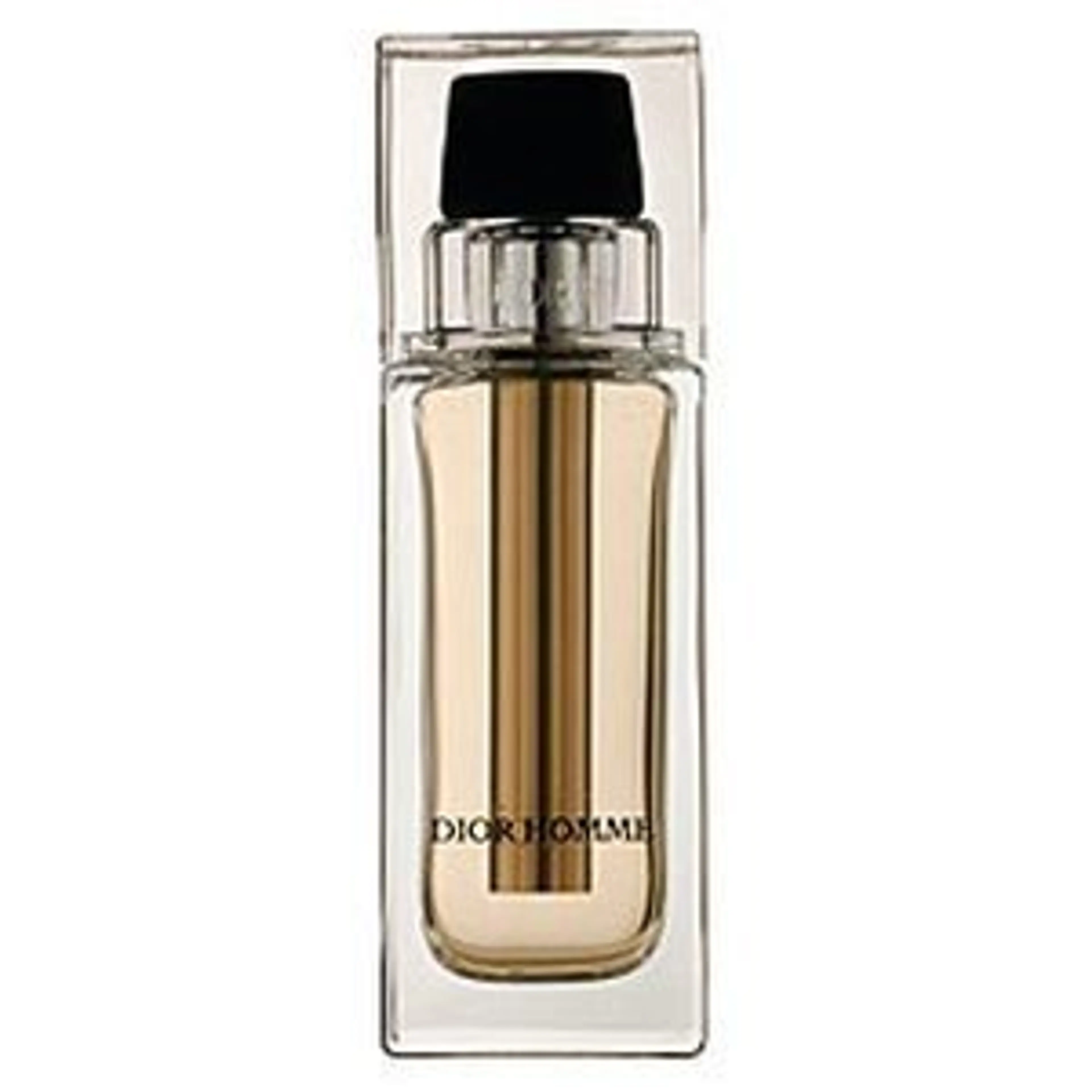 Dior Homme Voyage