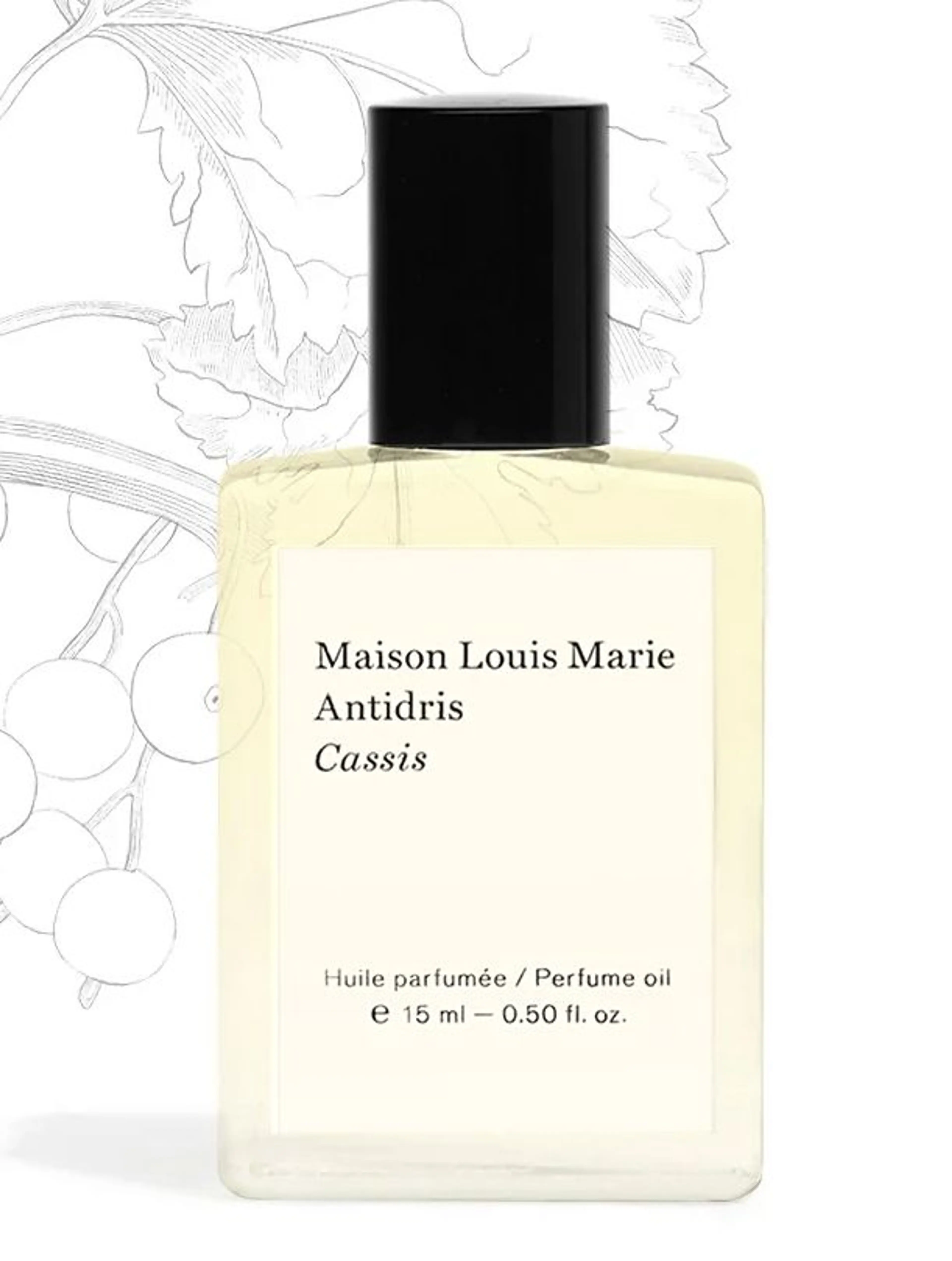 Antidris Cassis