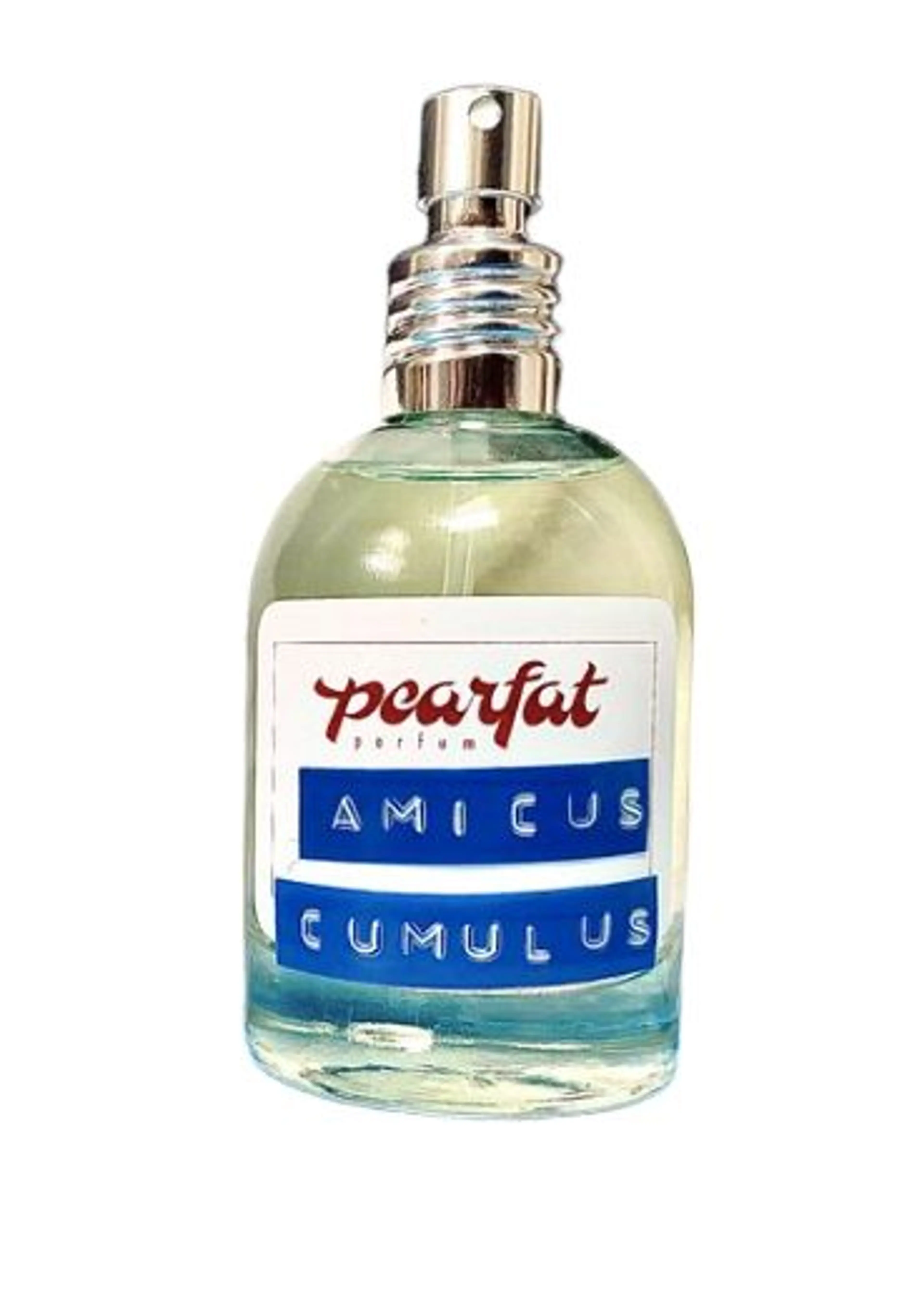 Amicus Cumulus