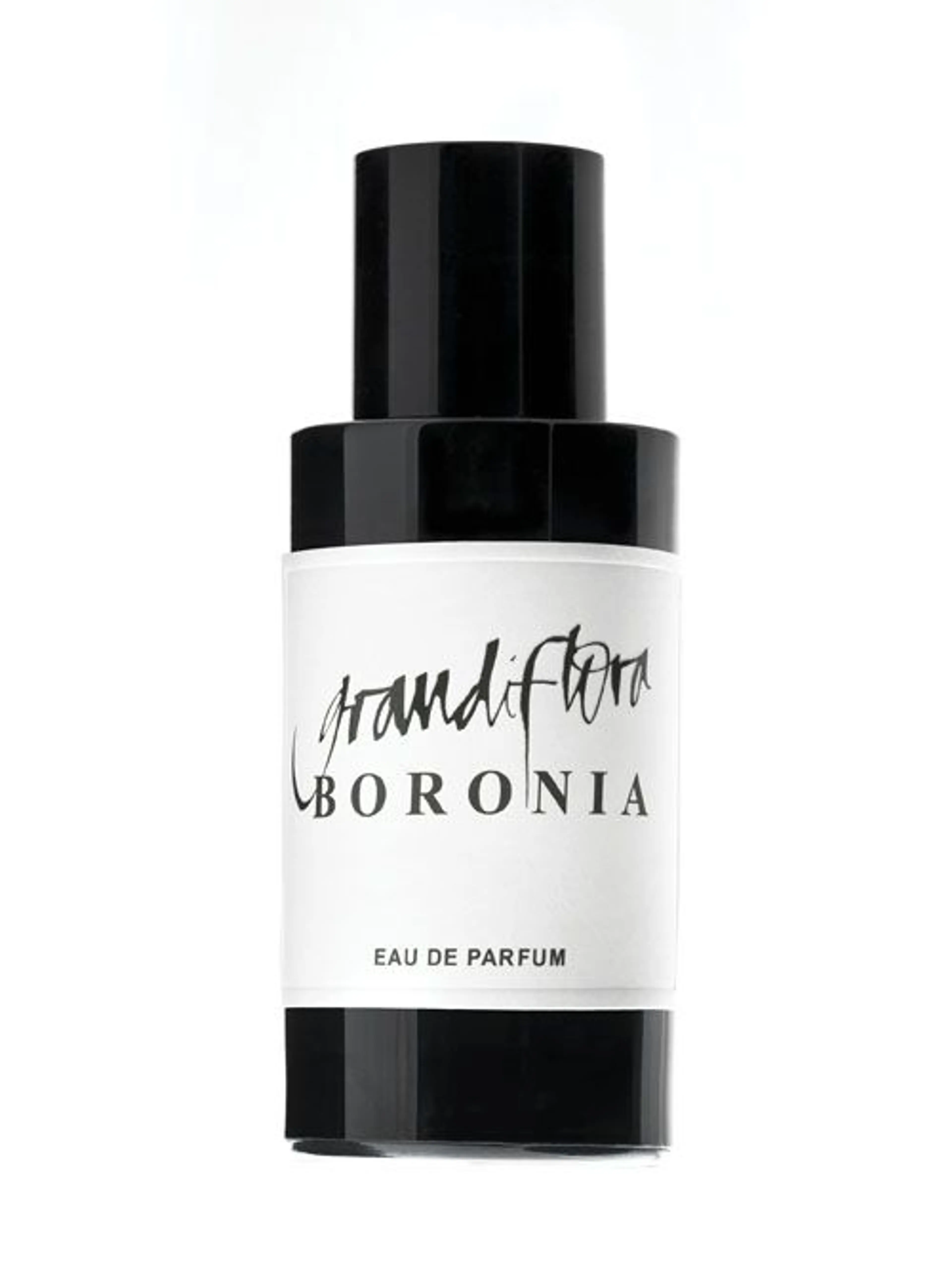 Boronia
