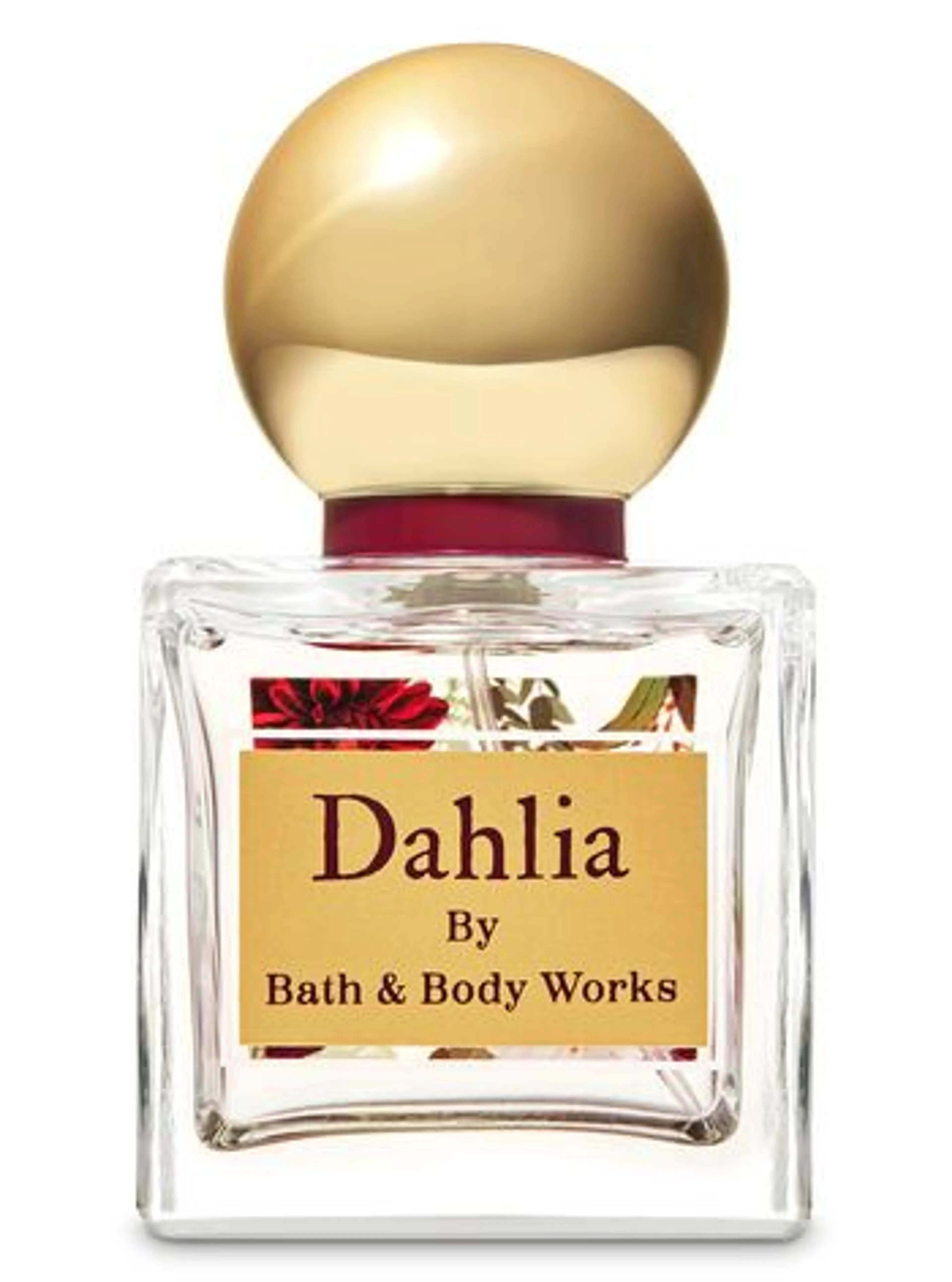 Dahlia