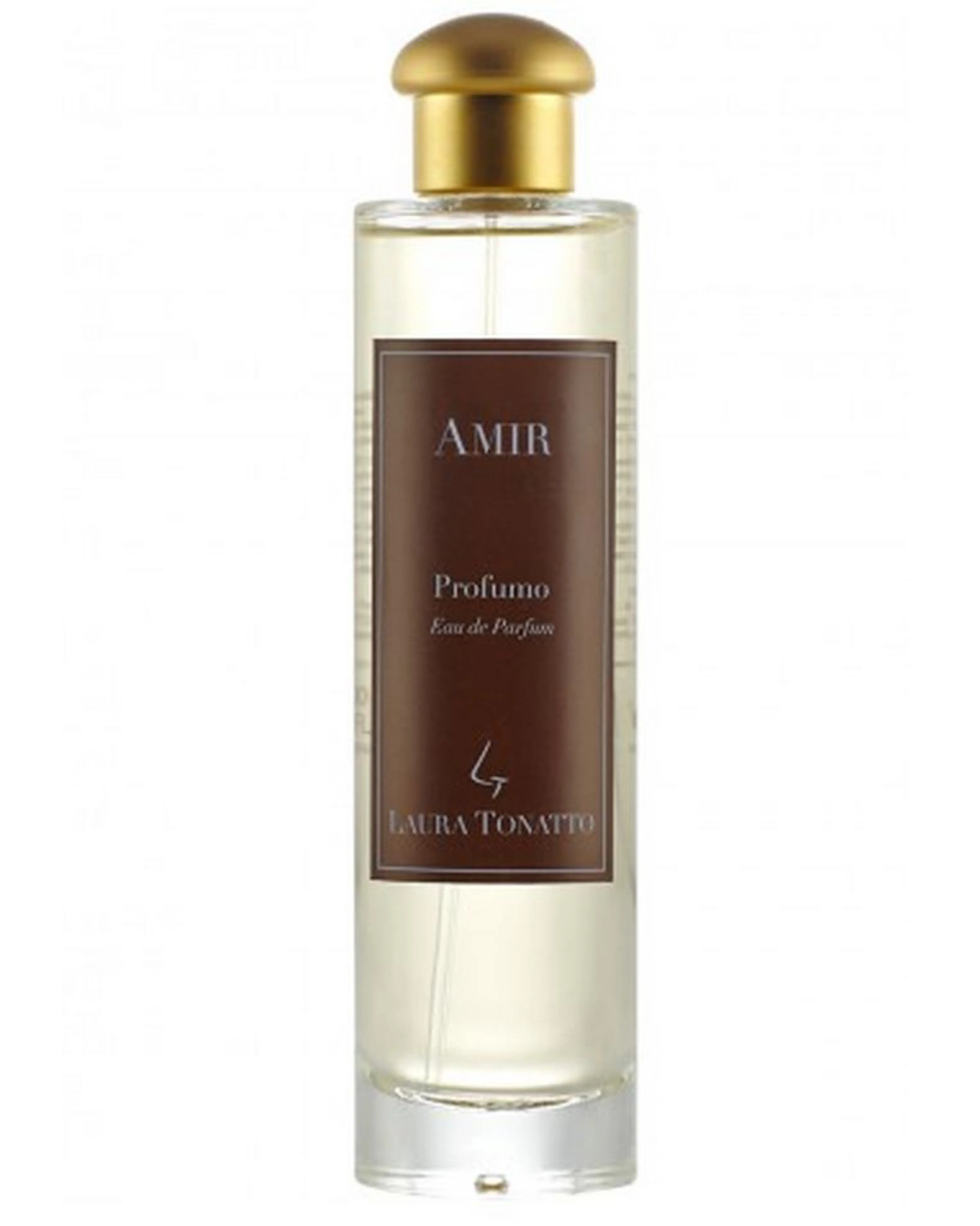 Amir