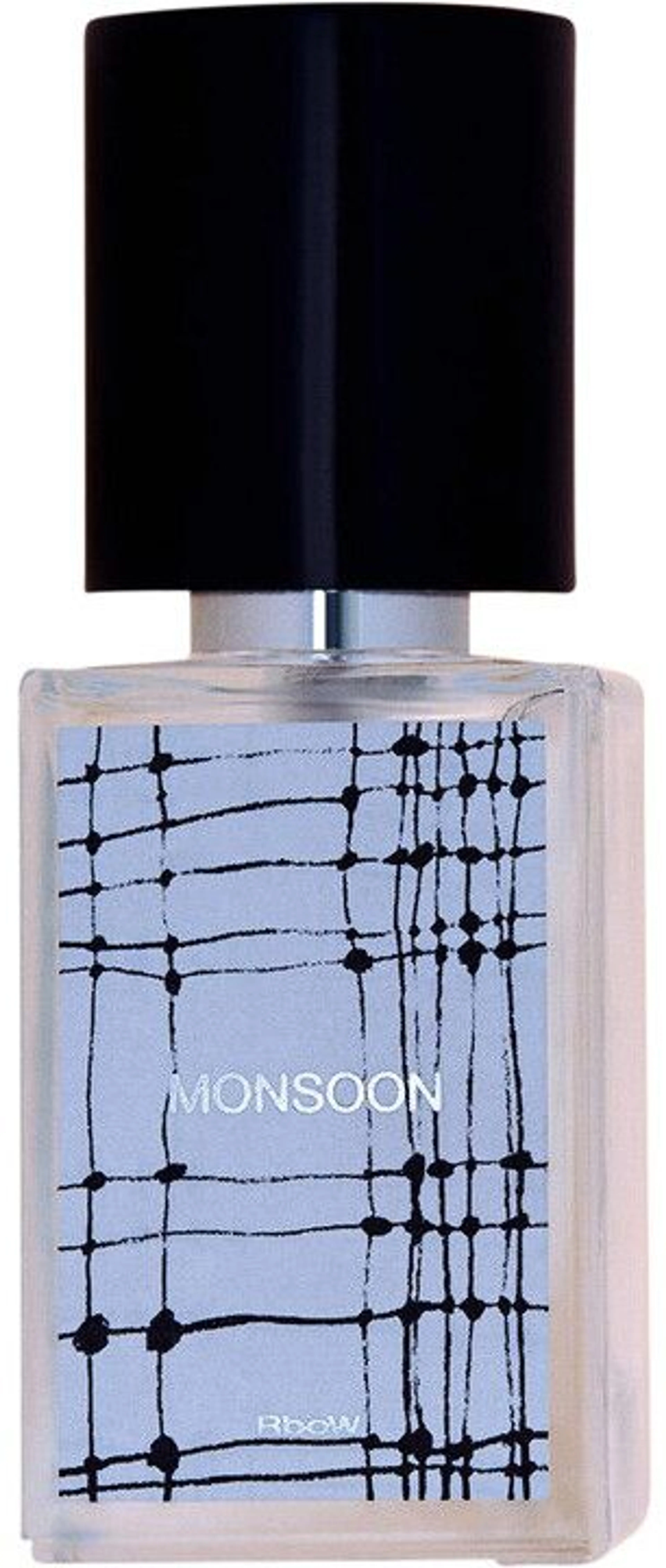Case Study #11 Monsoon