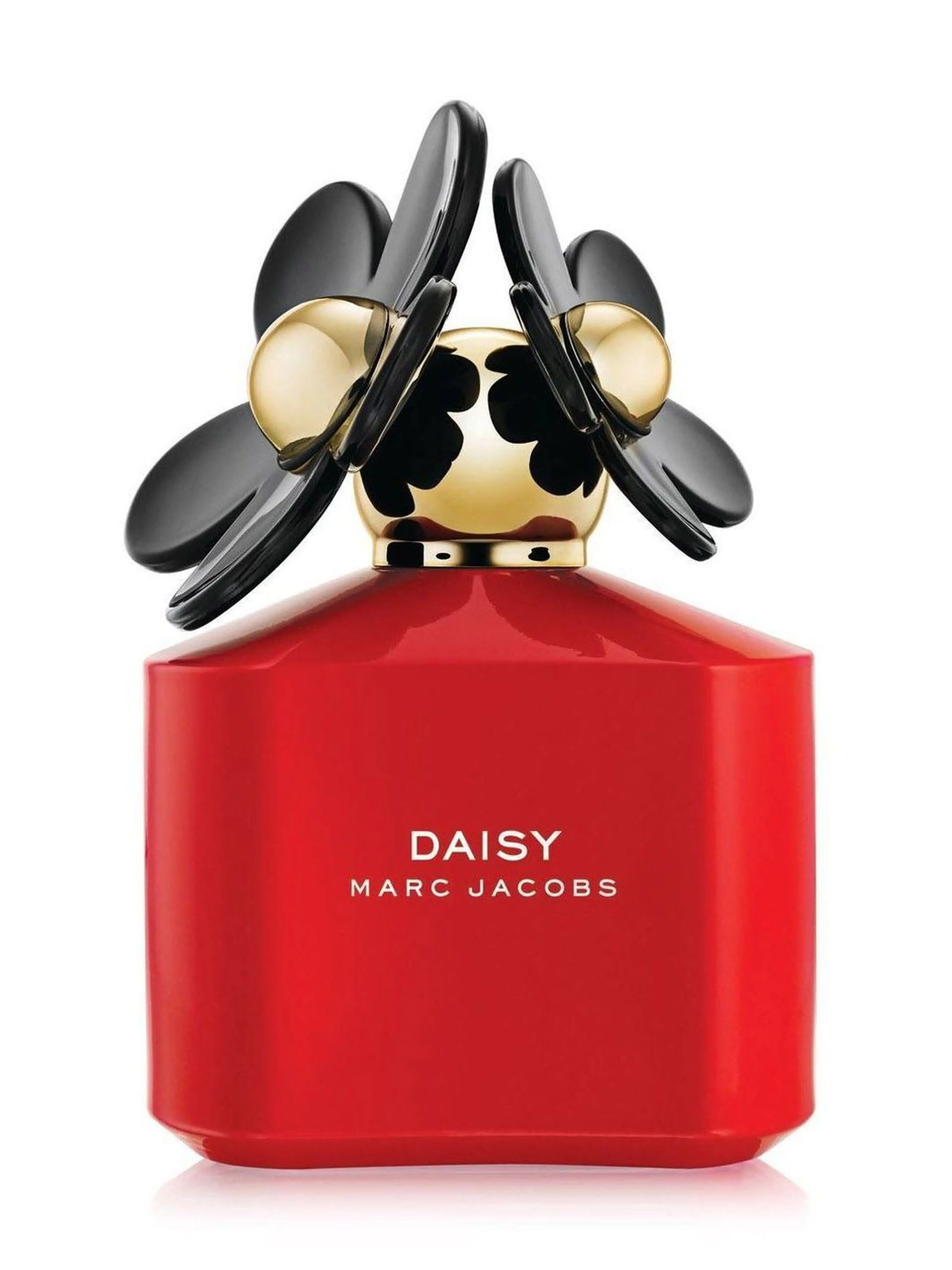 Daisy Pop Art Edition