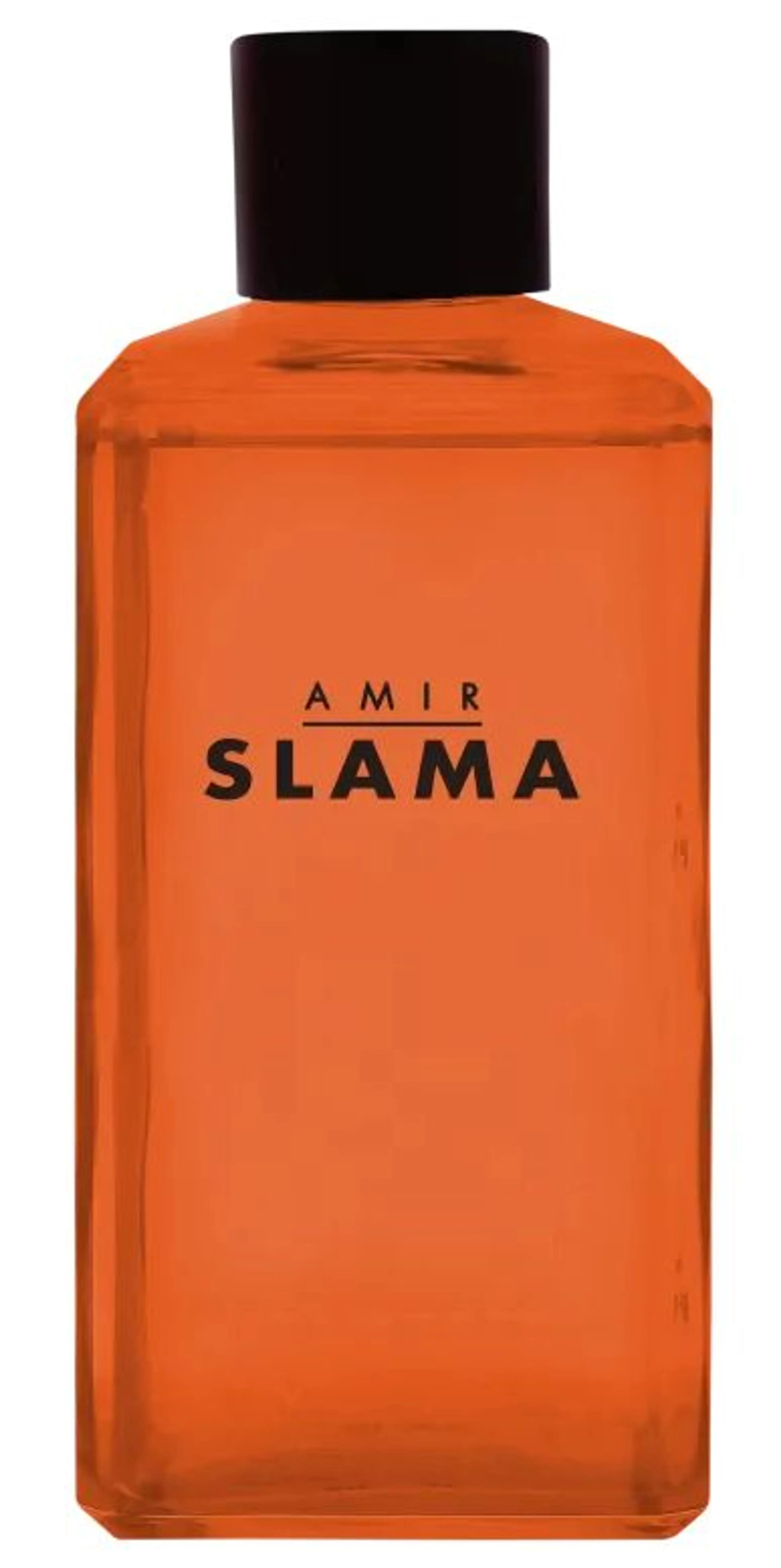 Amir Slama Raiz