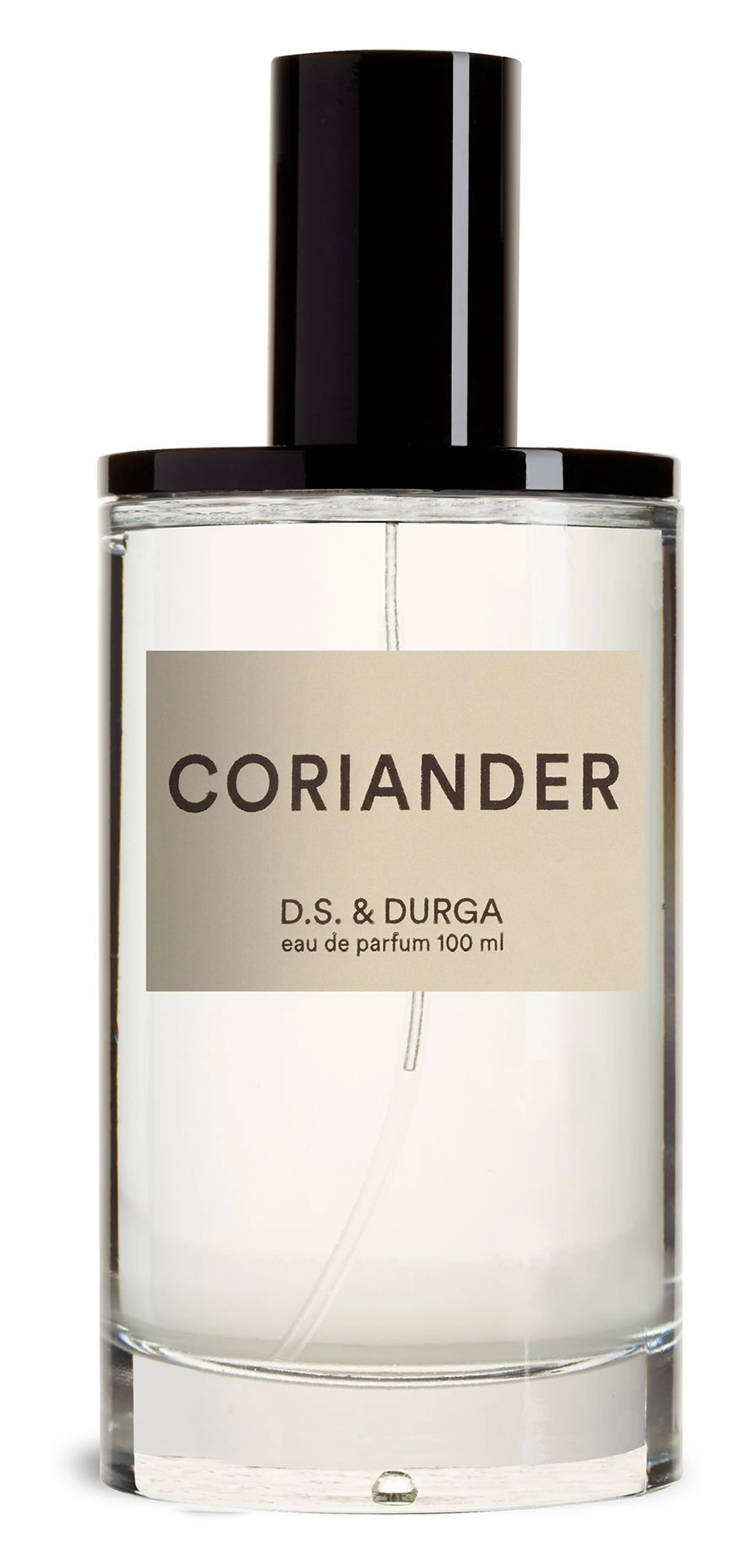 Coriander