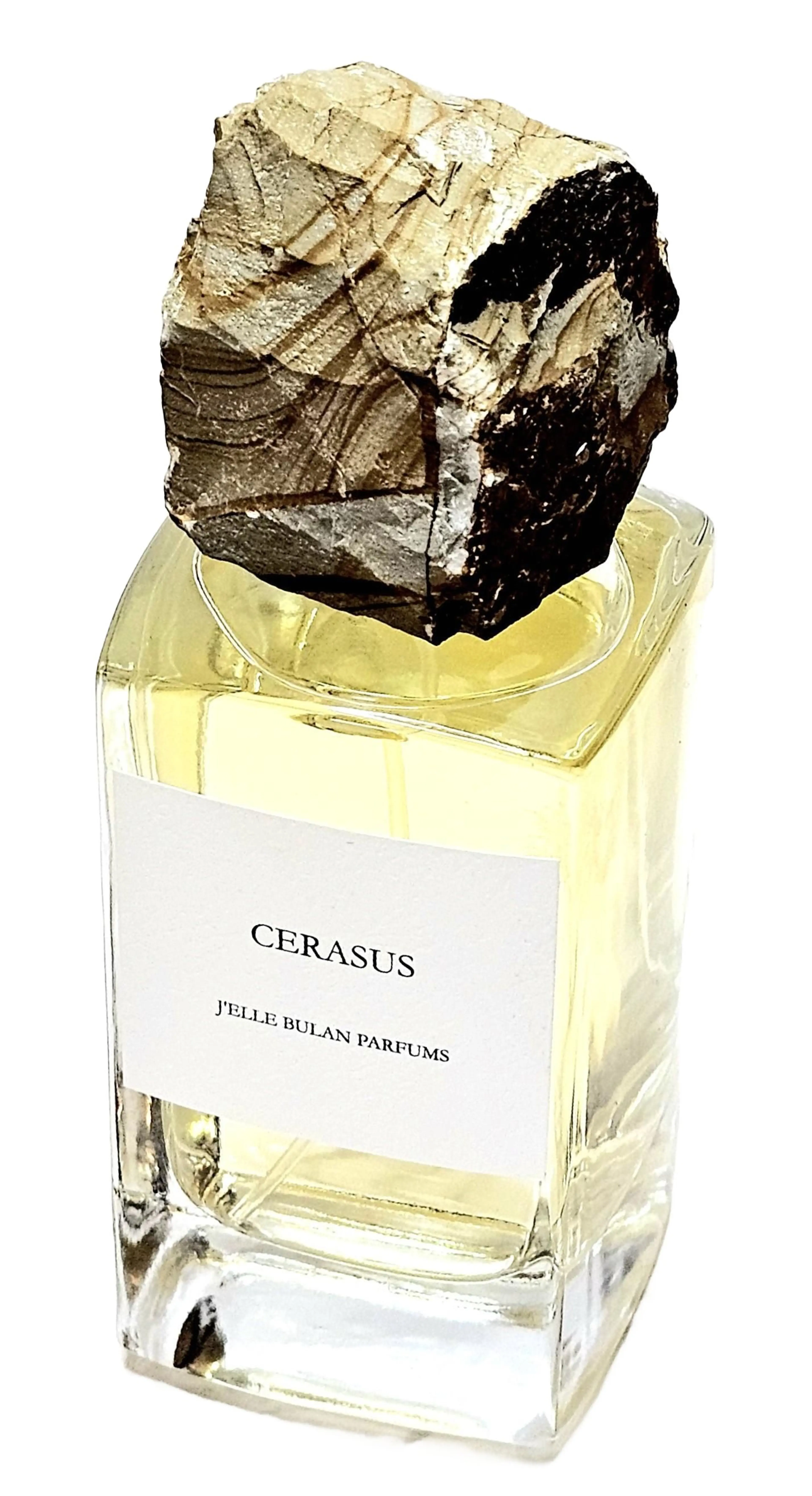 Cerasus