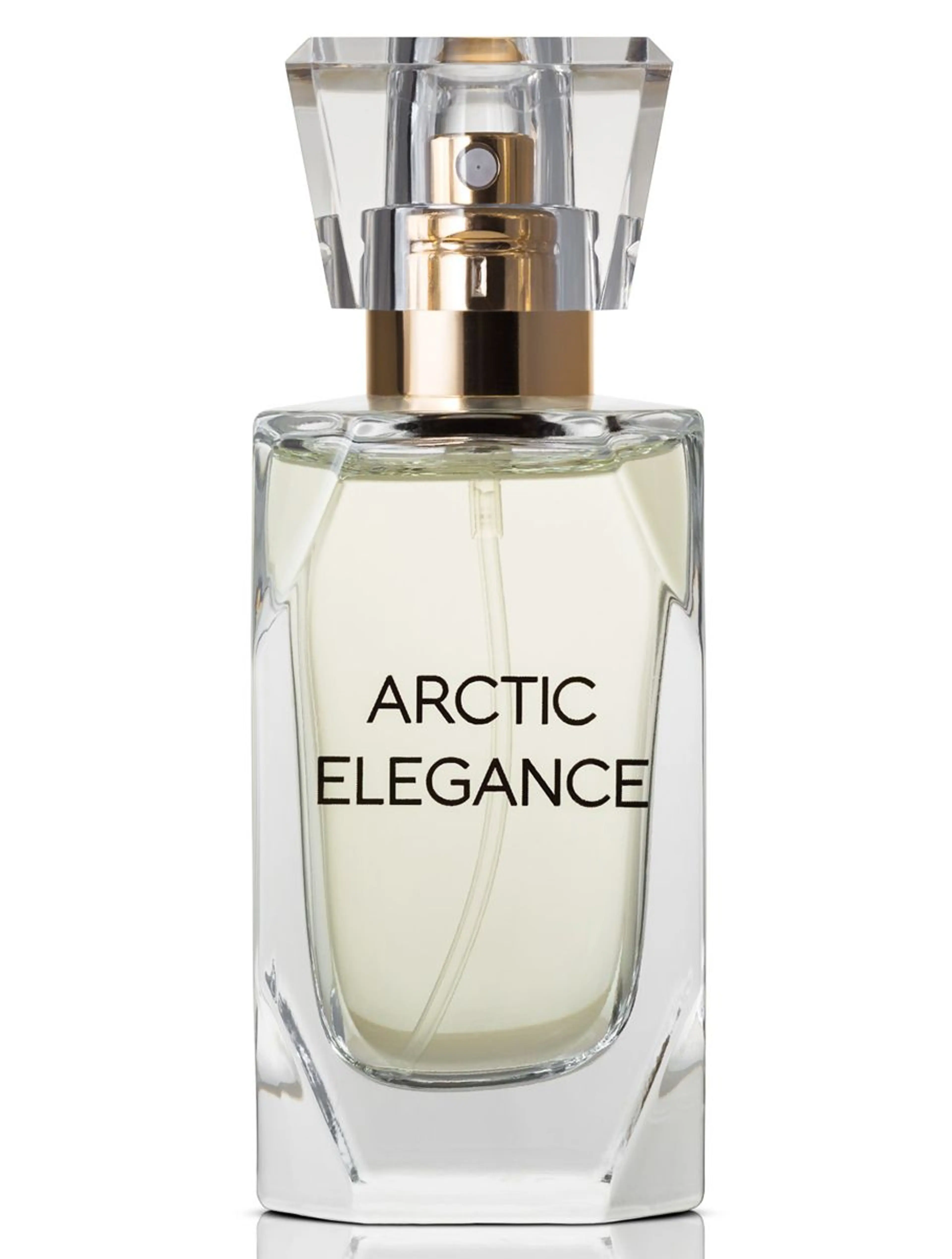 Arctic Elegance