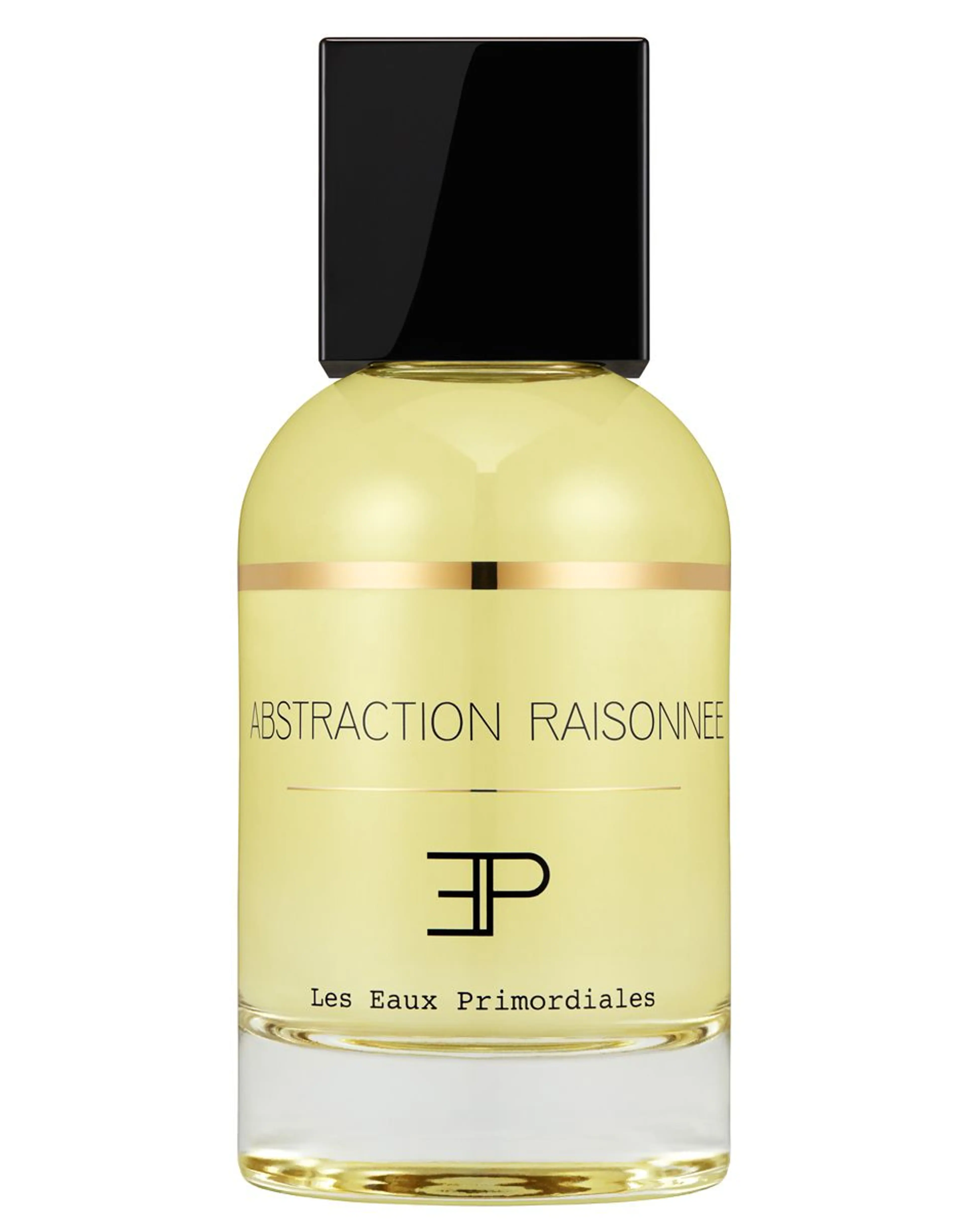 Abstraction Raisonnee