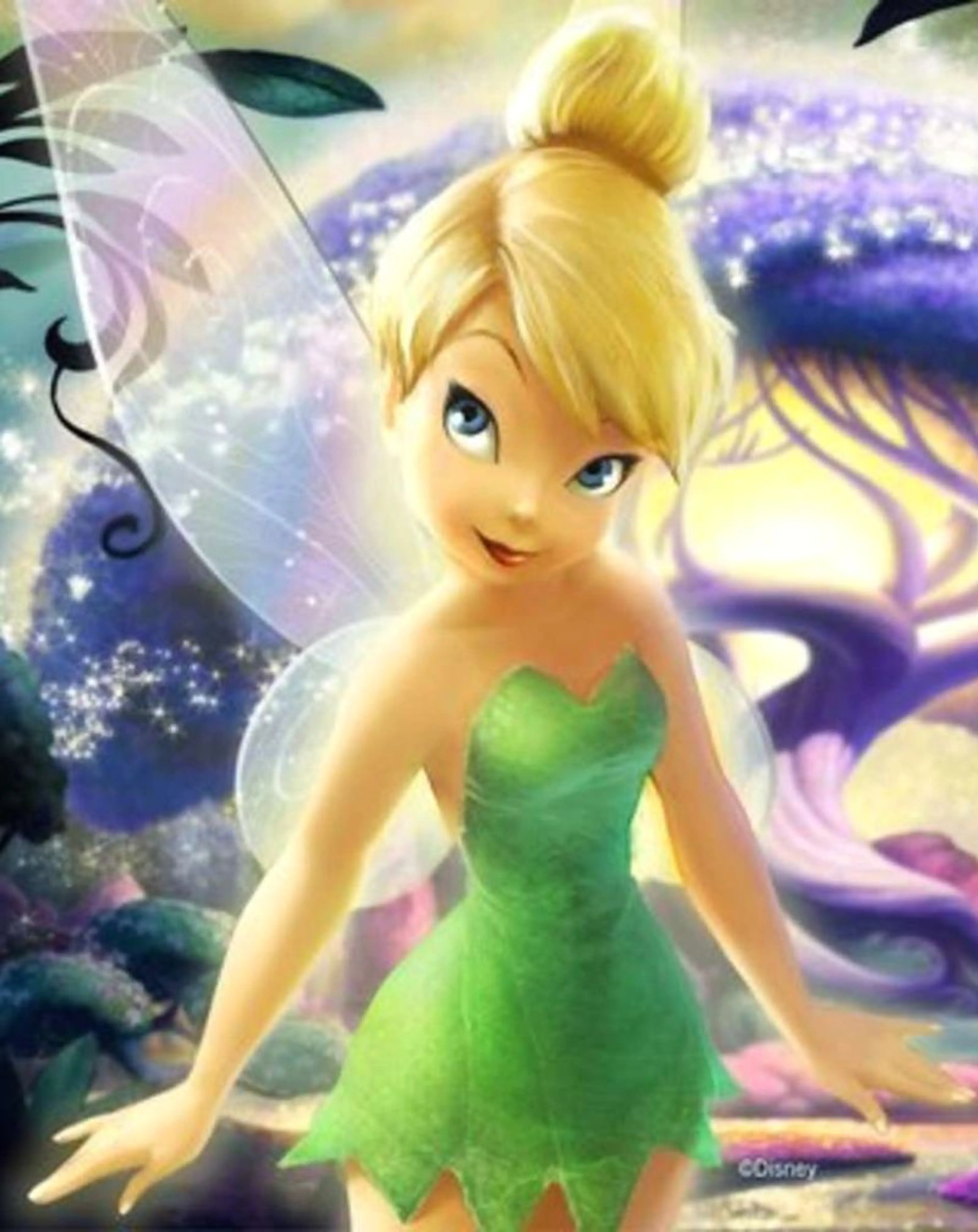 Disney Fairies
