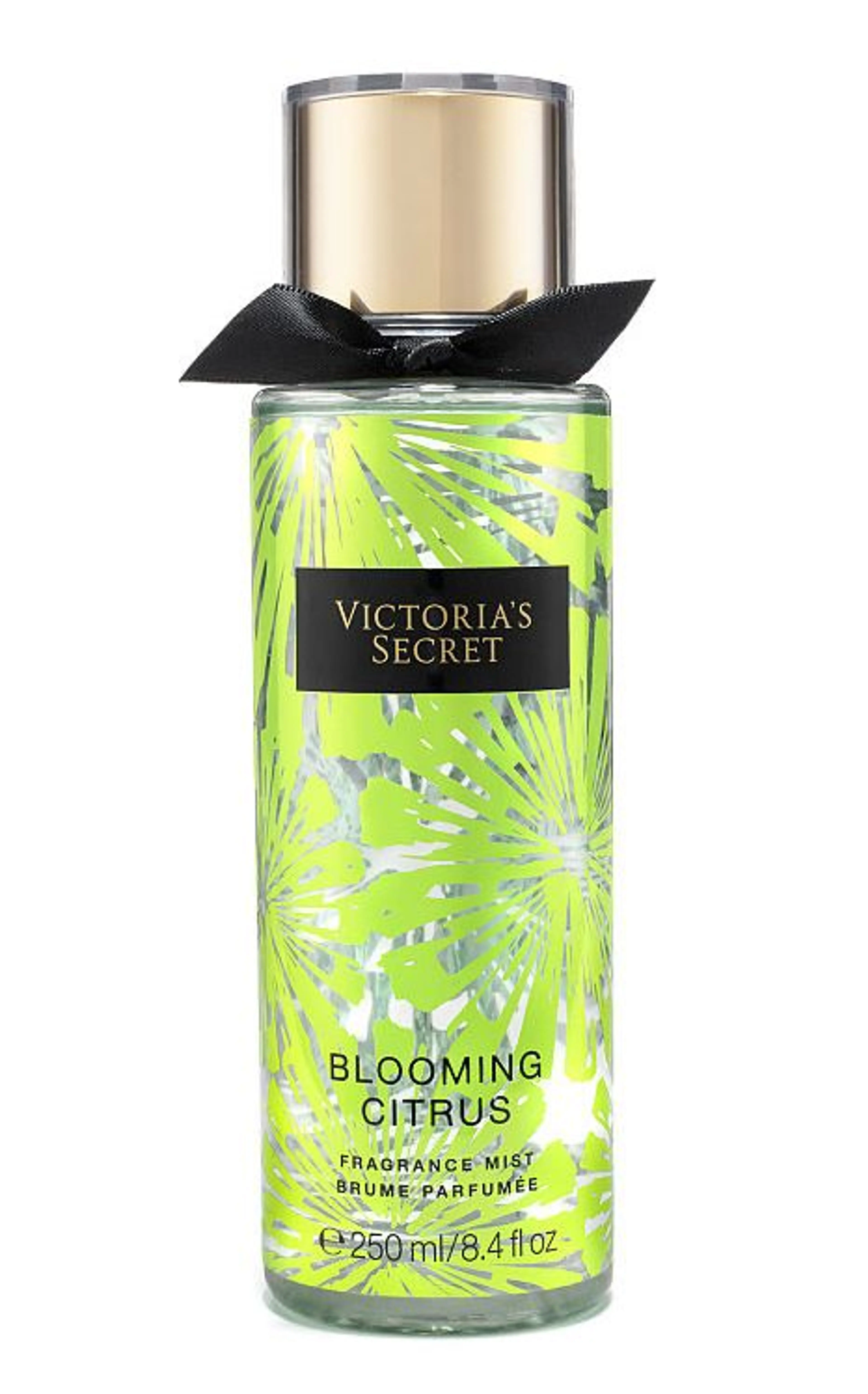 Blooming Citrus