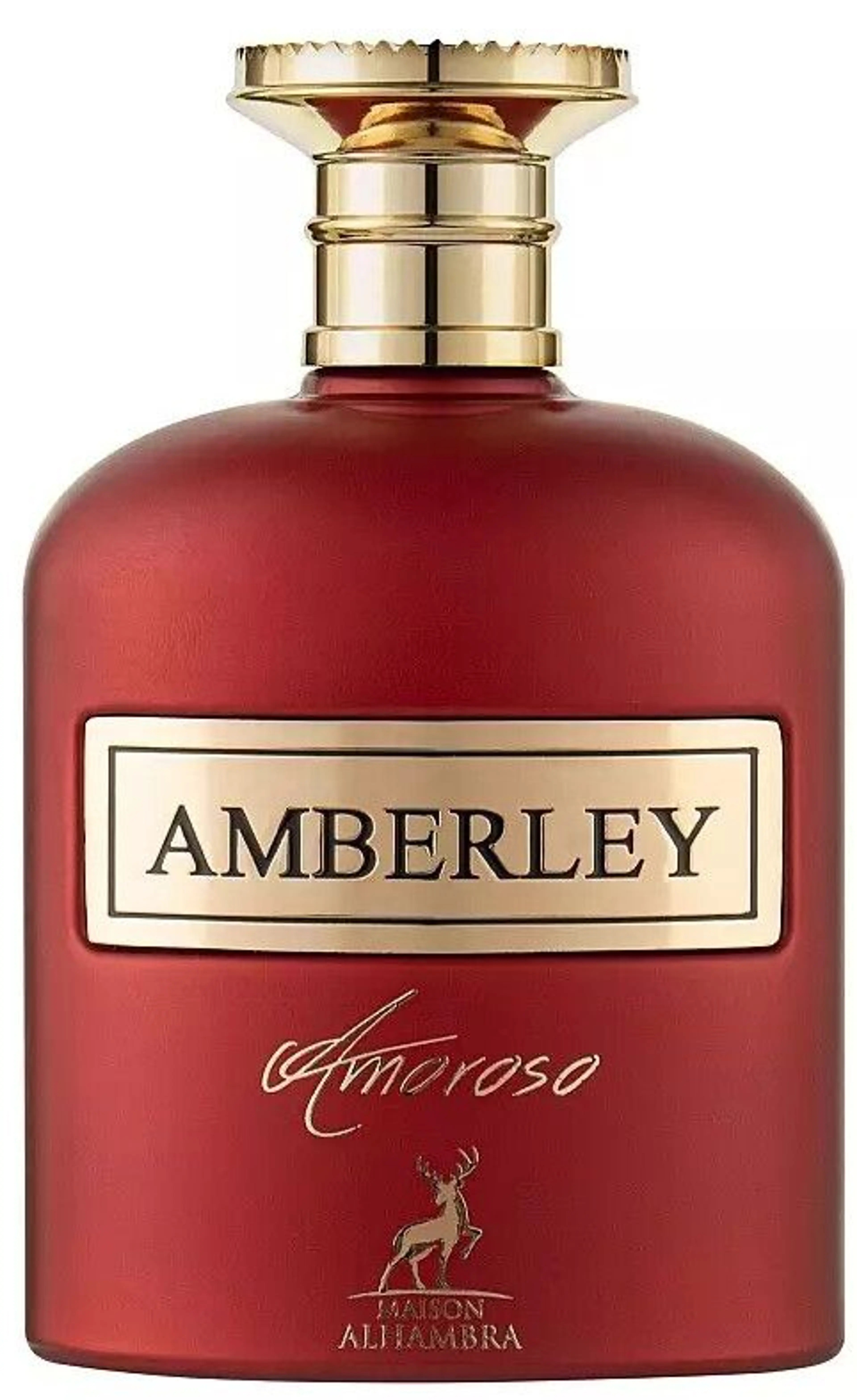 Amberly Amoroso