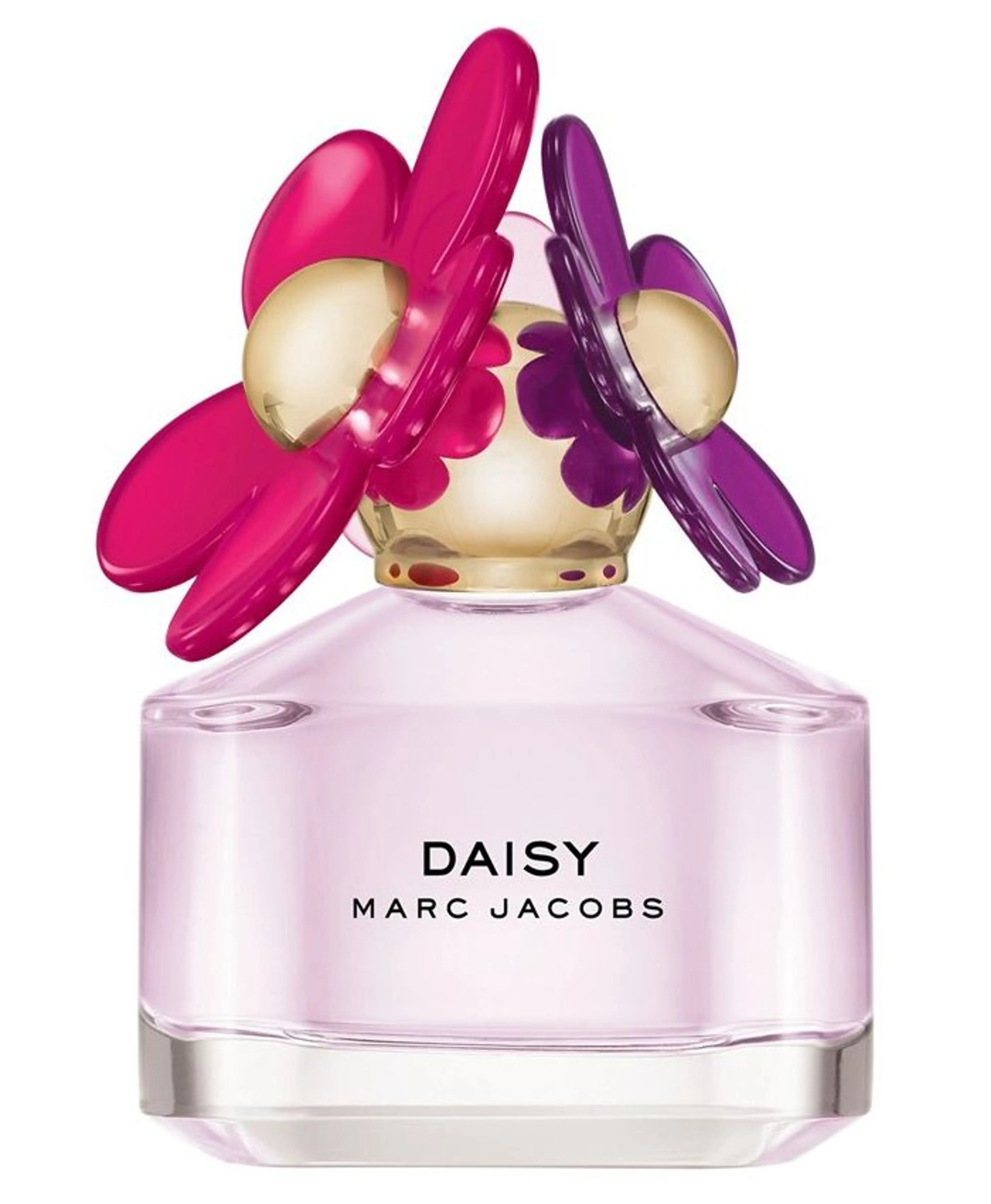 Daisy Sorbet