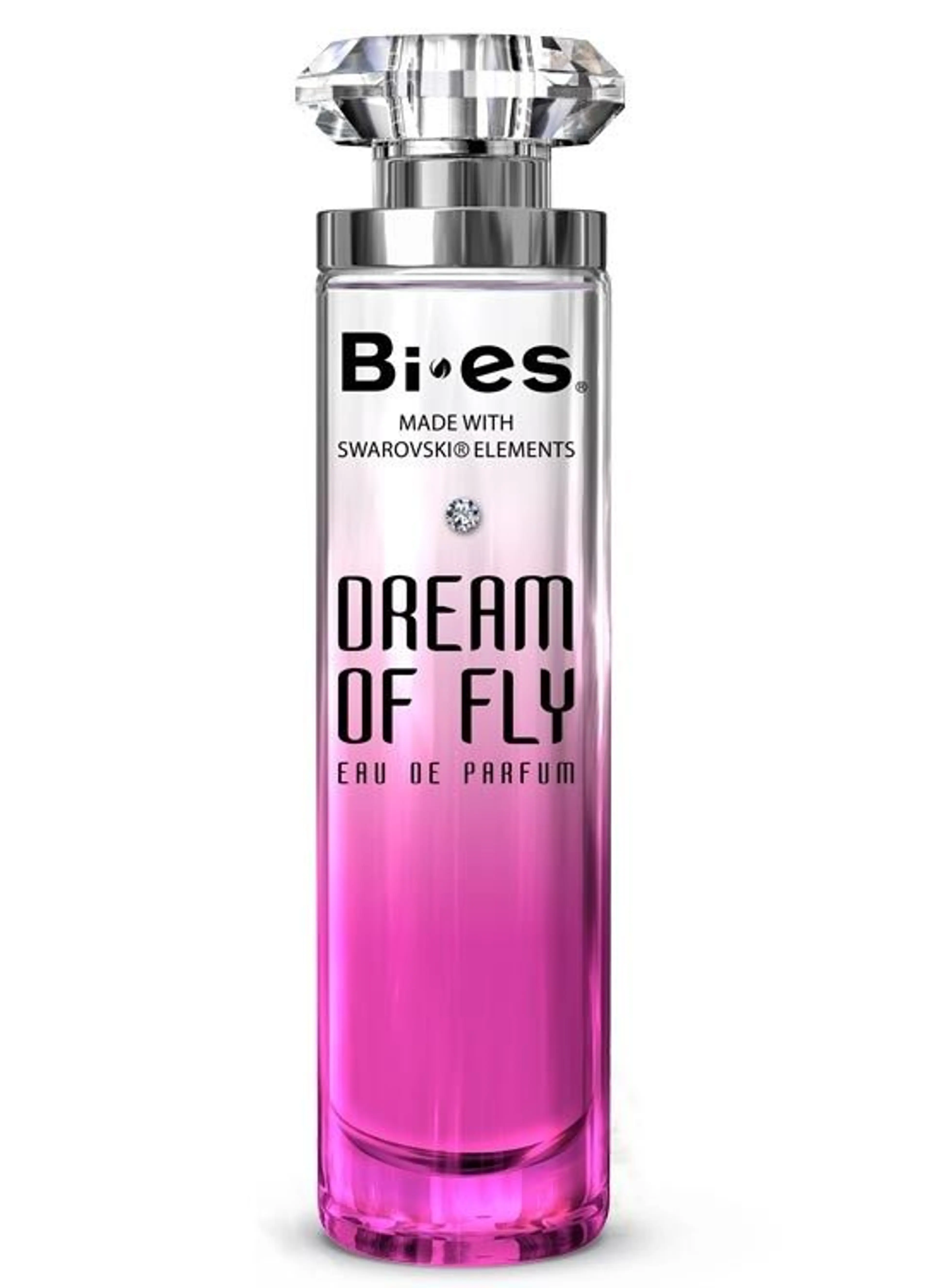 Dream of Fly