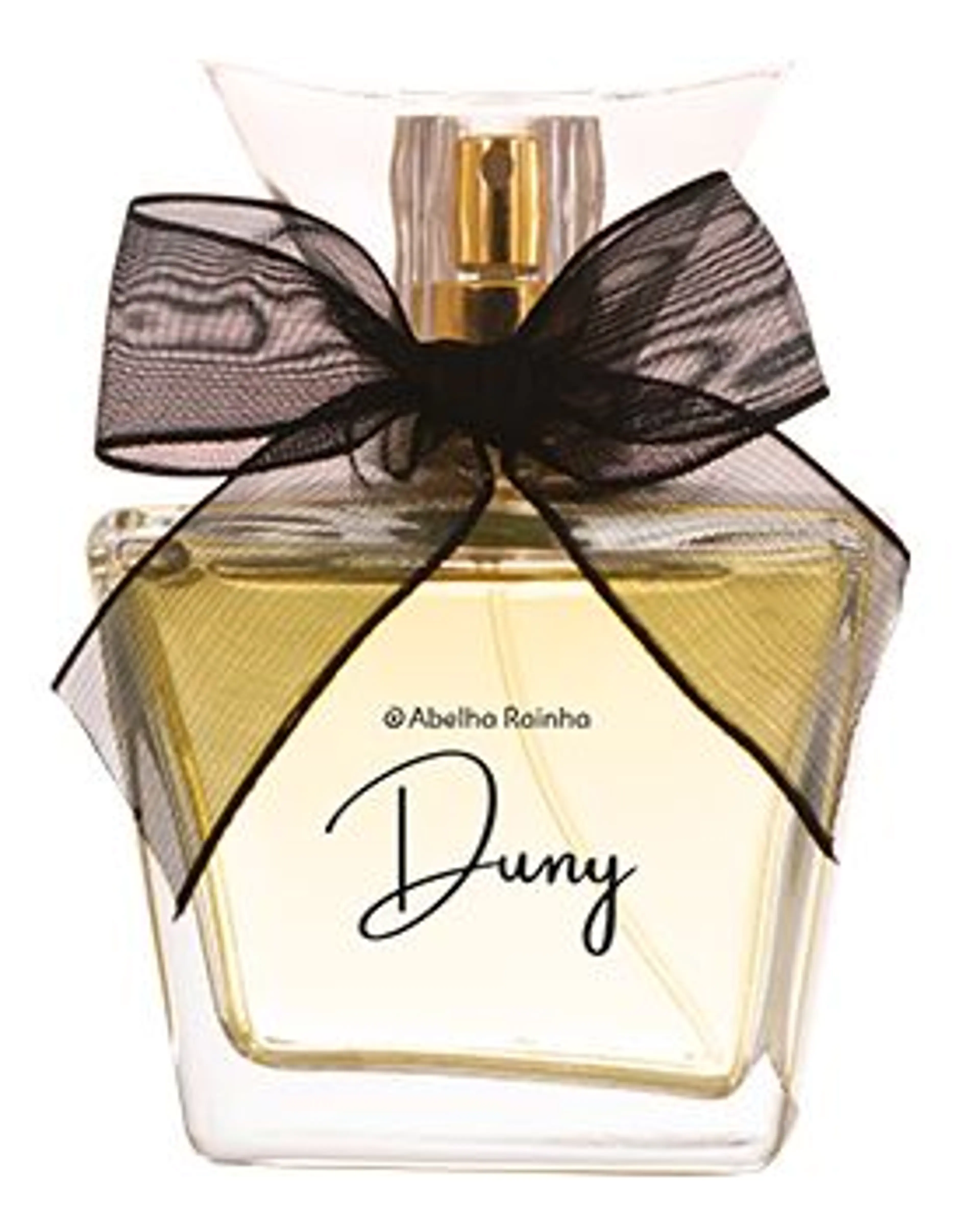 Duny