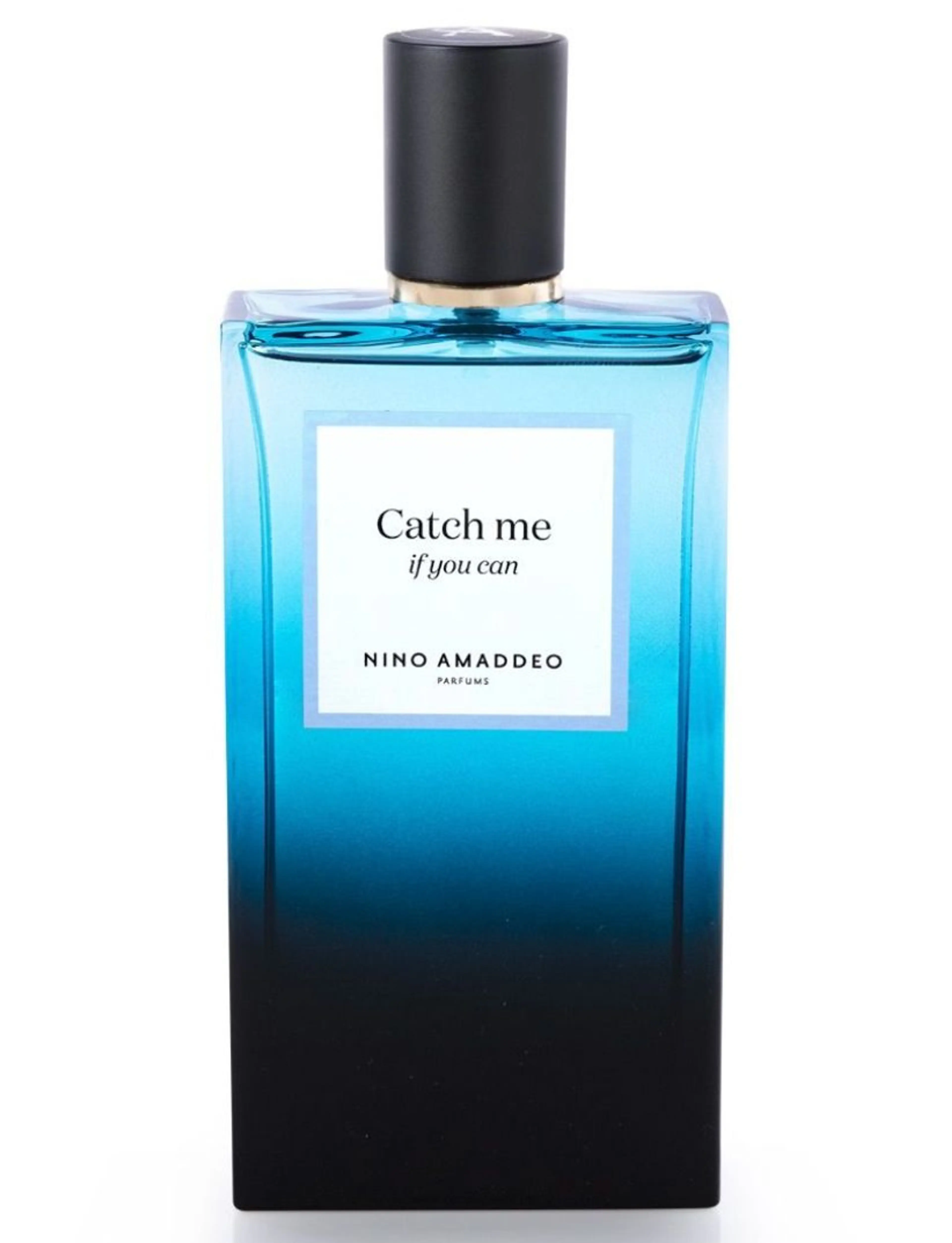 Catch Me If You Can