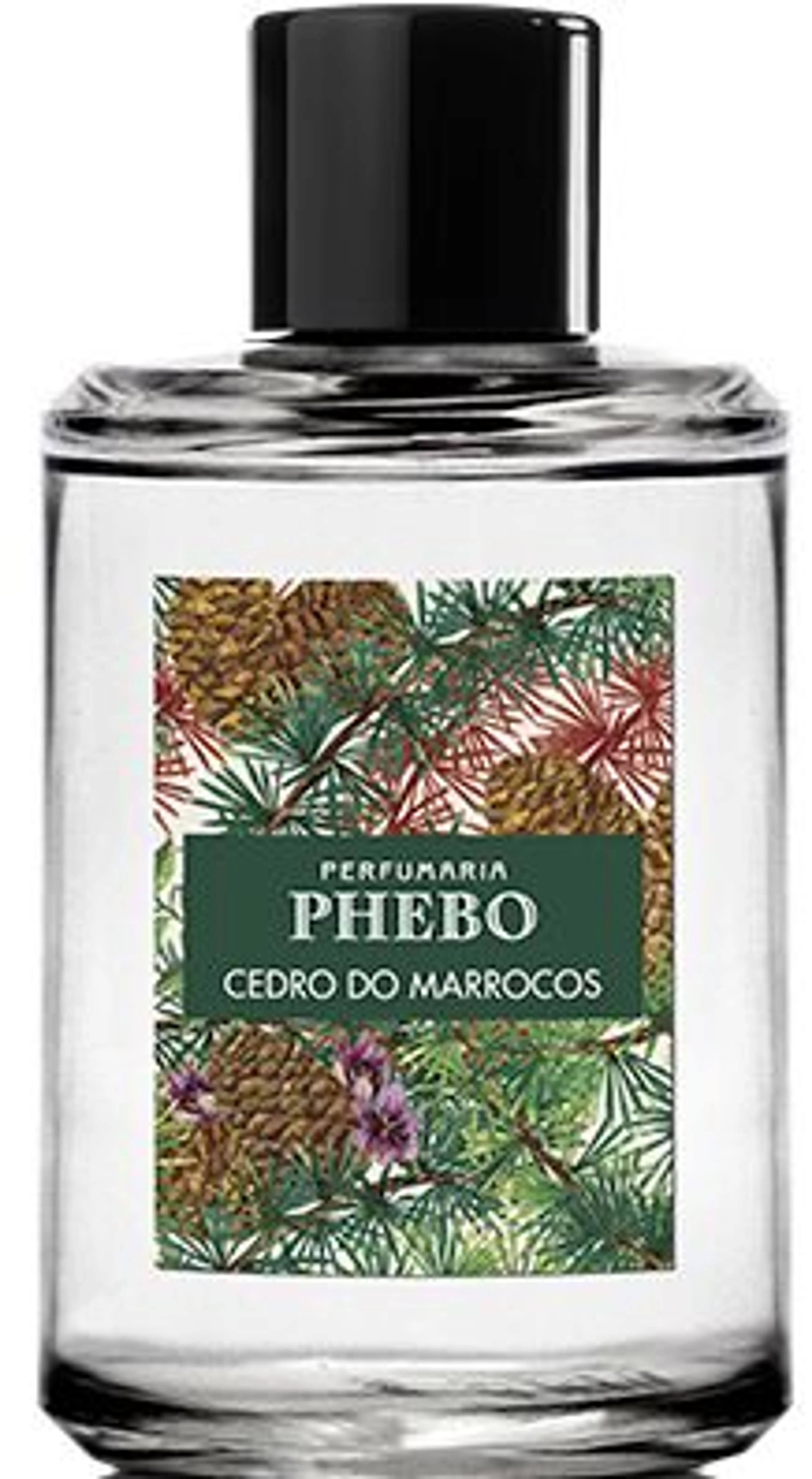 Cedro do Marrocos