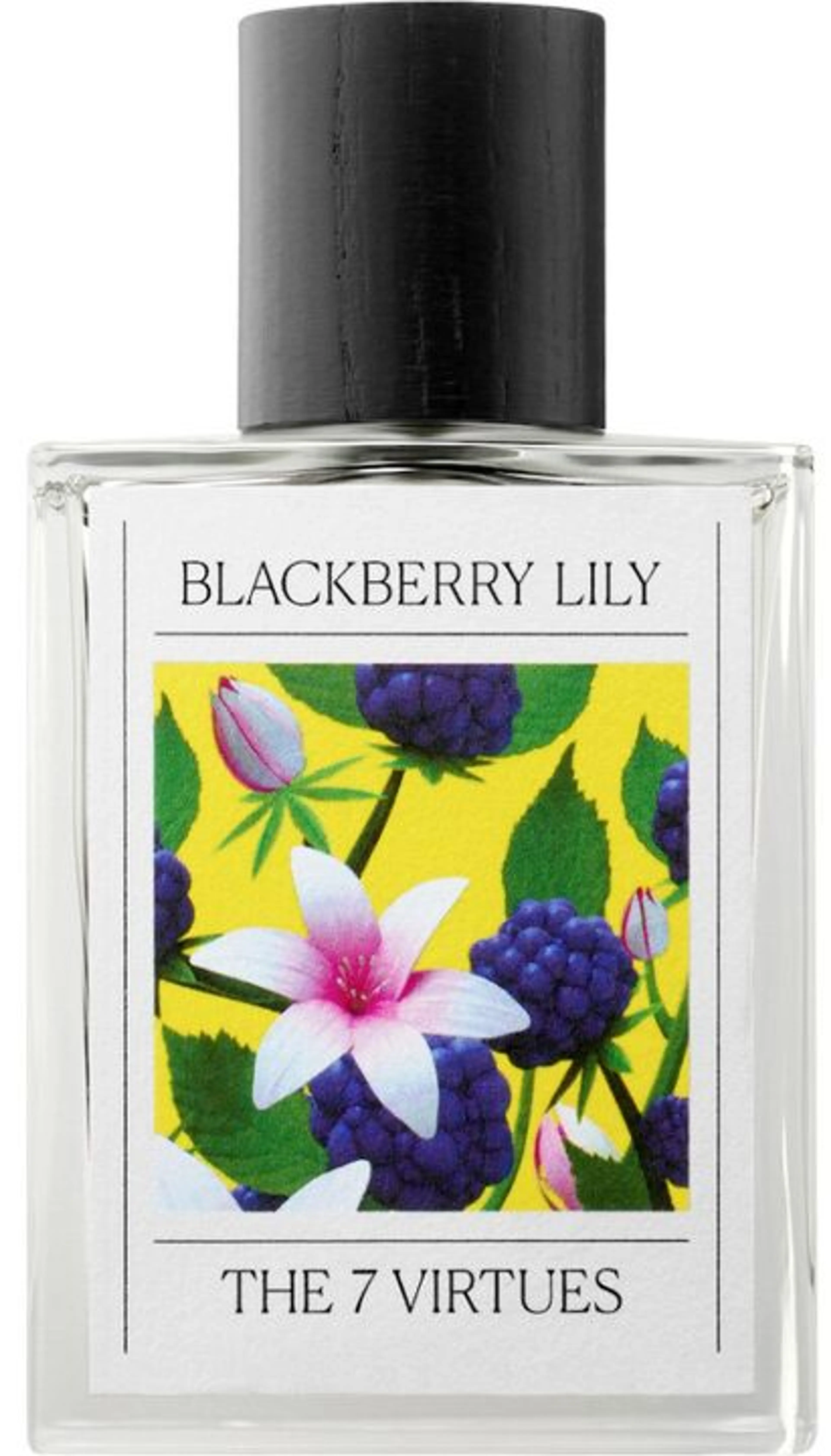 Blackberry Lily