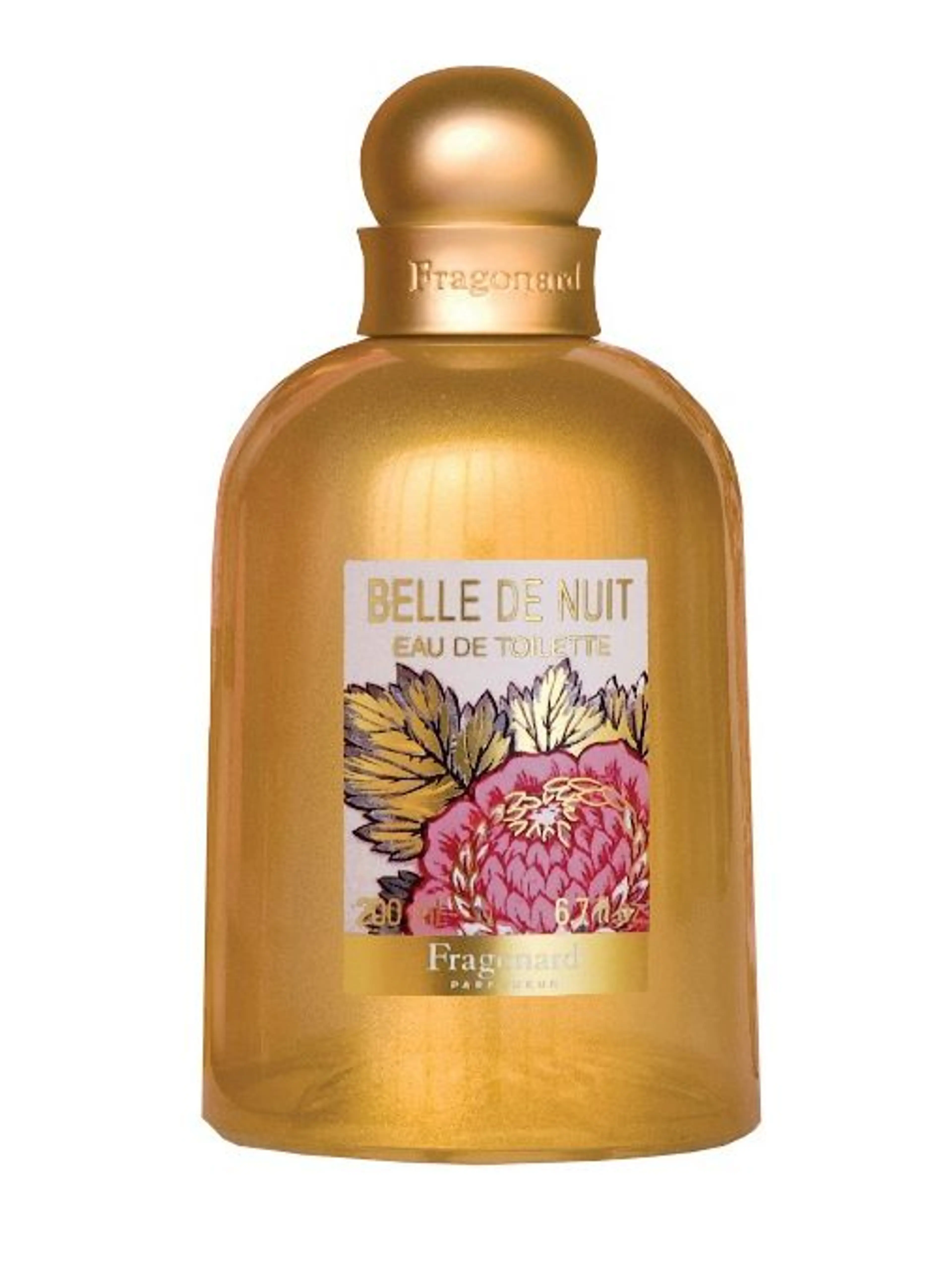 Belle de Nuit