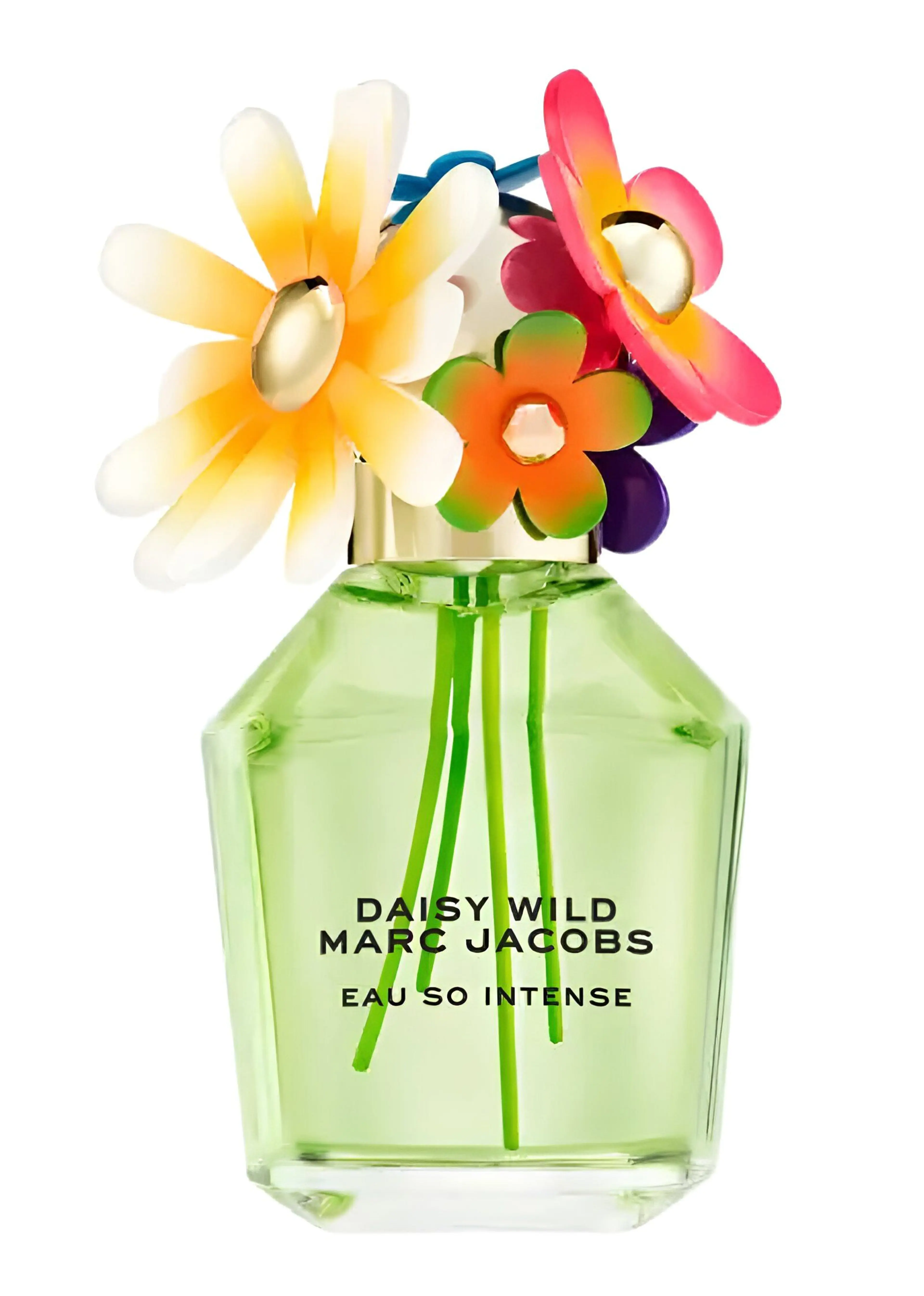 Daisy Wild Eau So Intense