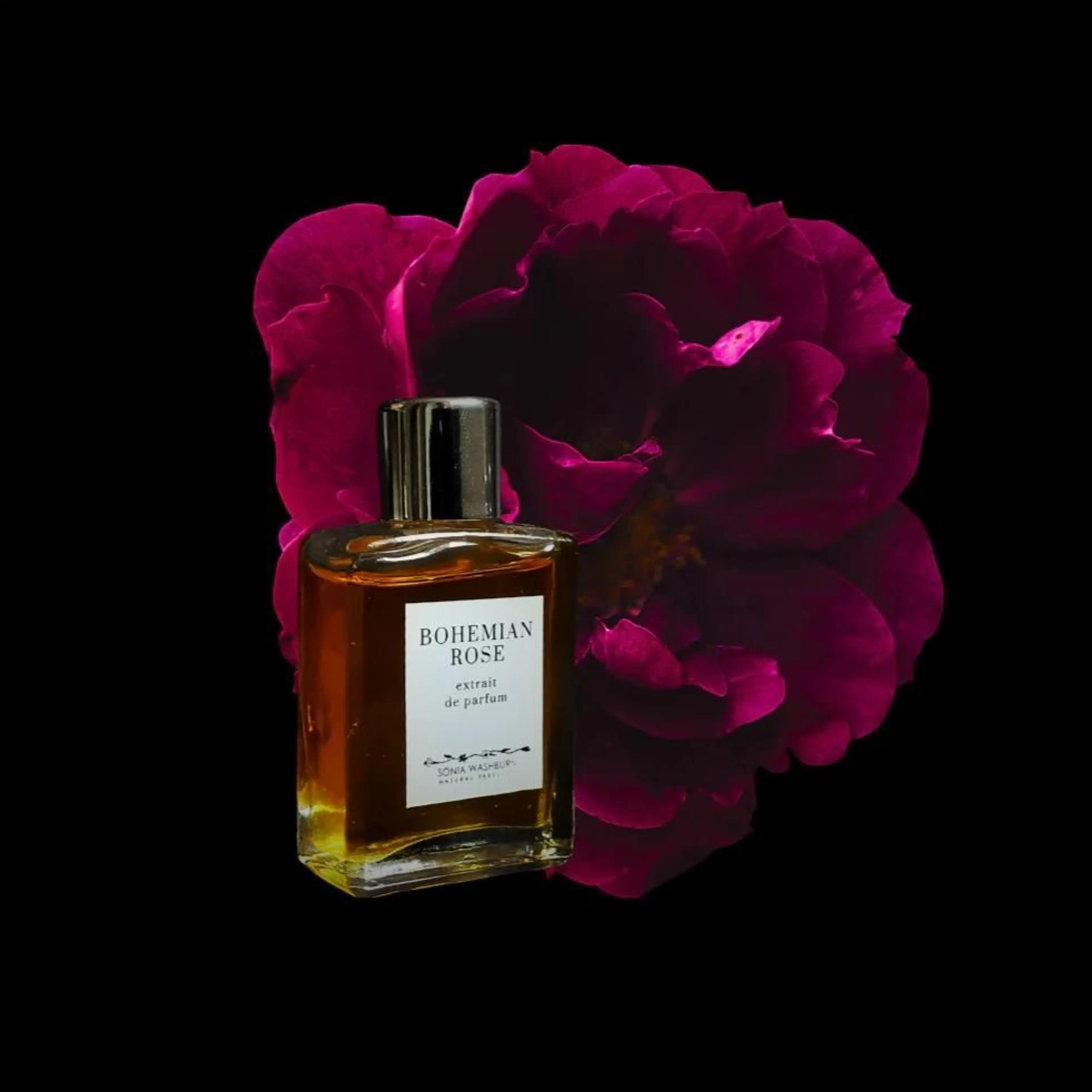 Bohemian Rose