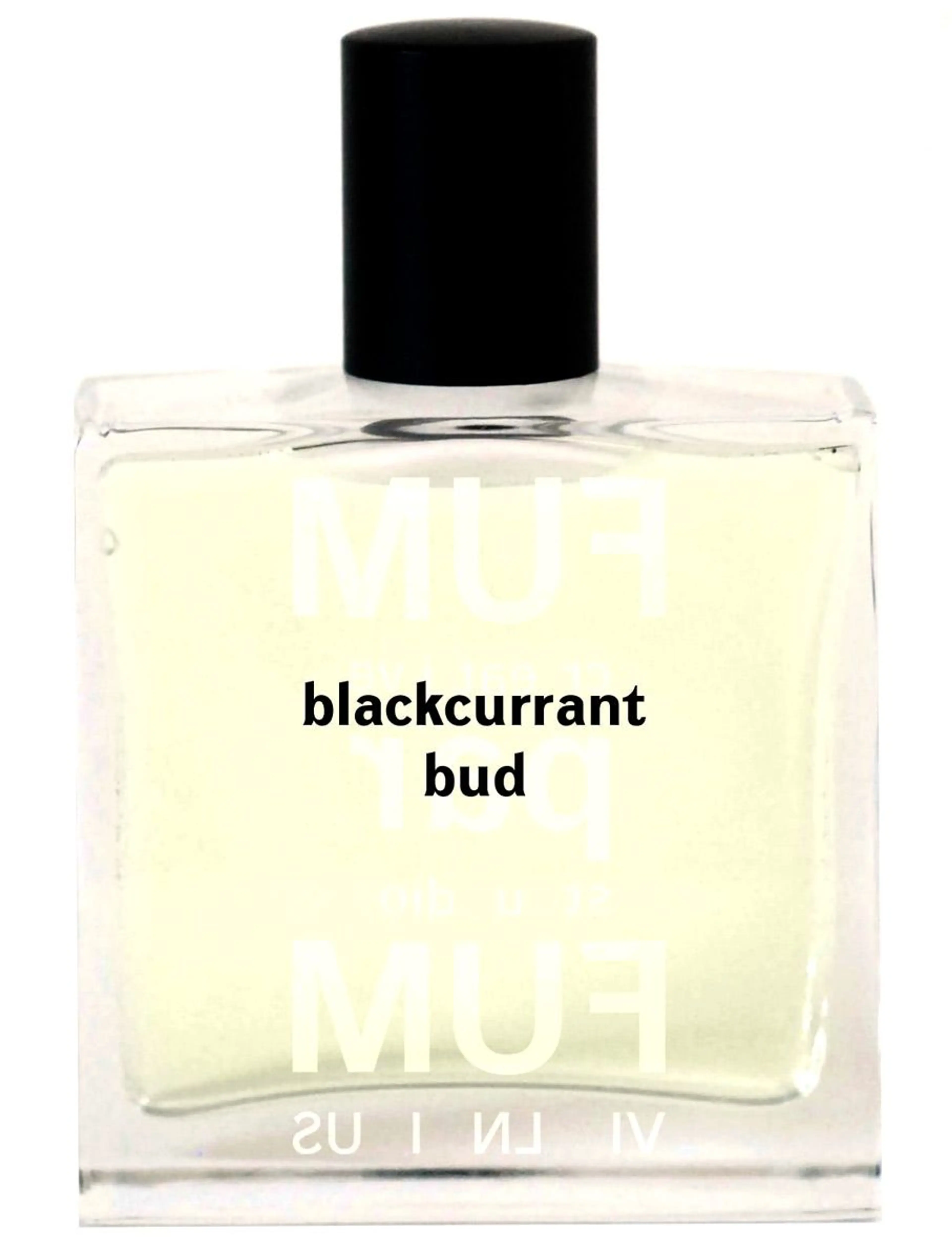 Blackcurrant Bud