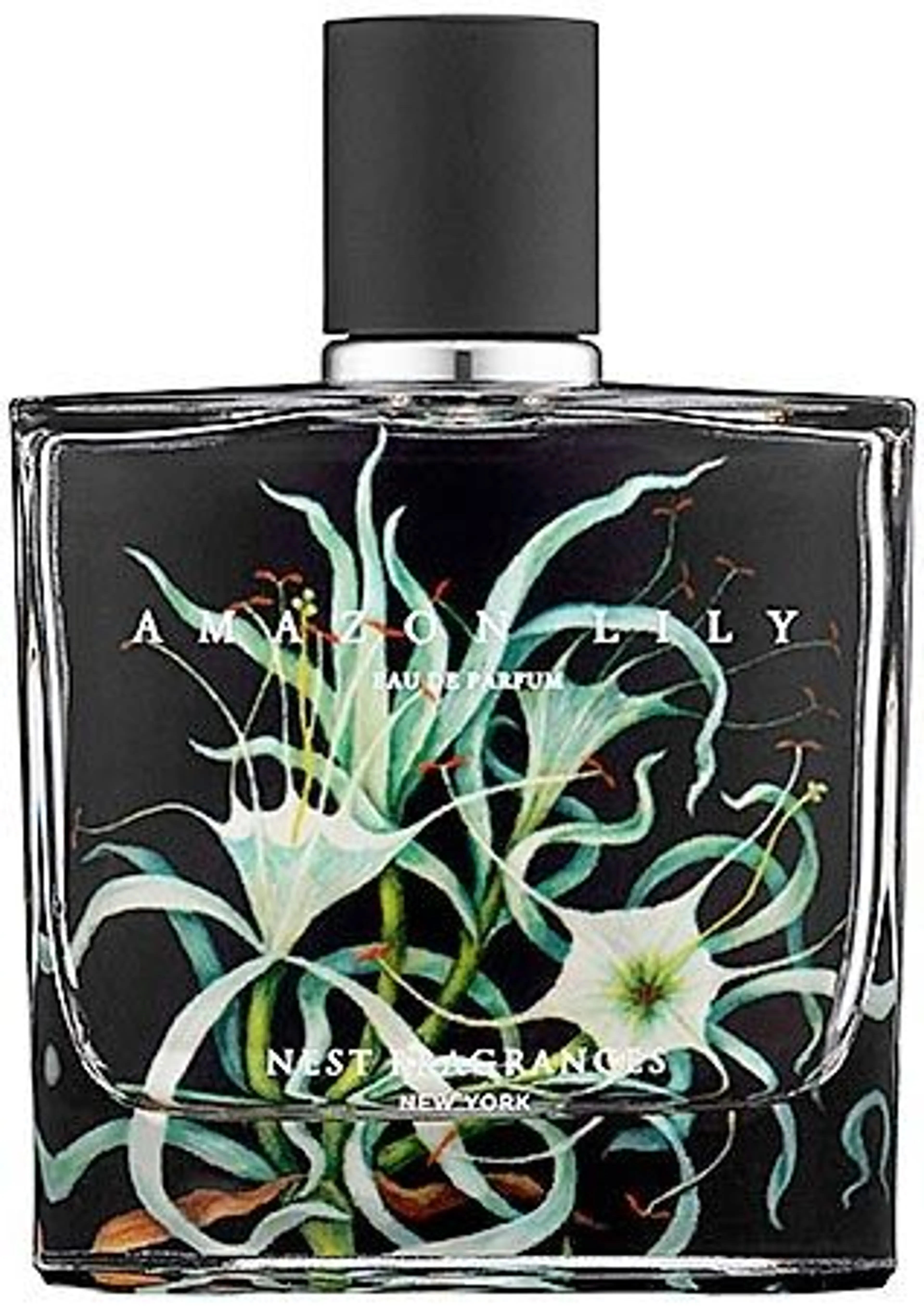 Amazon Lily