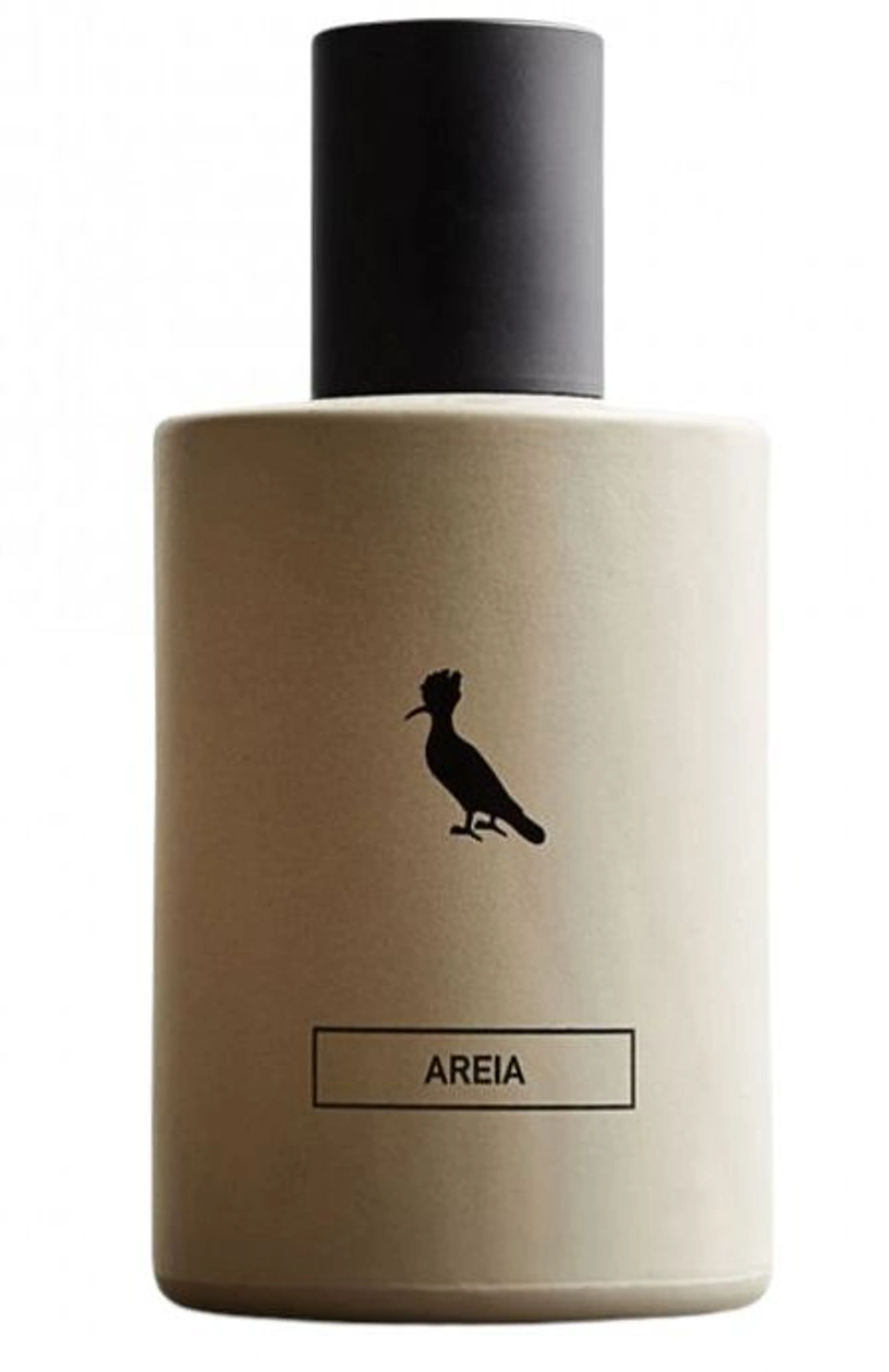 Areia