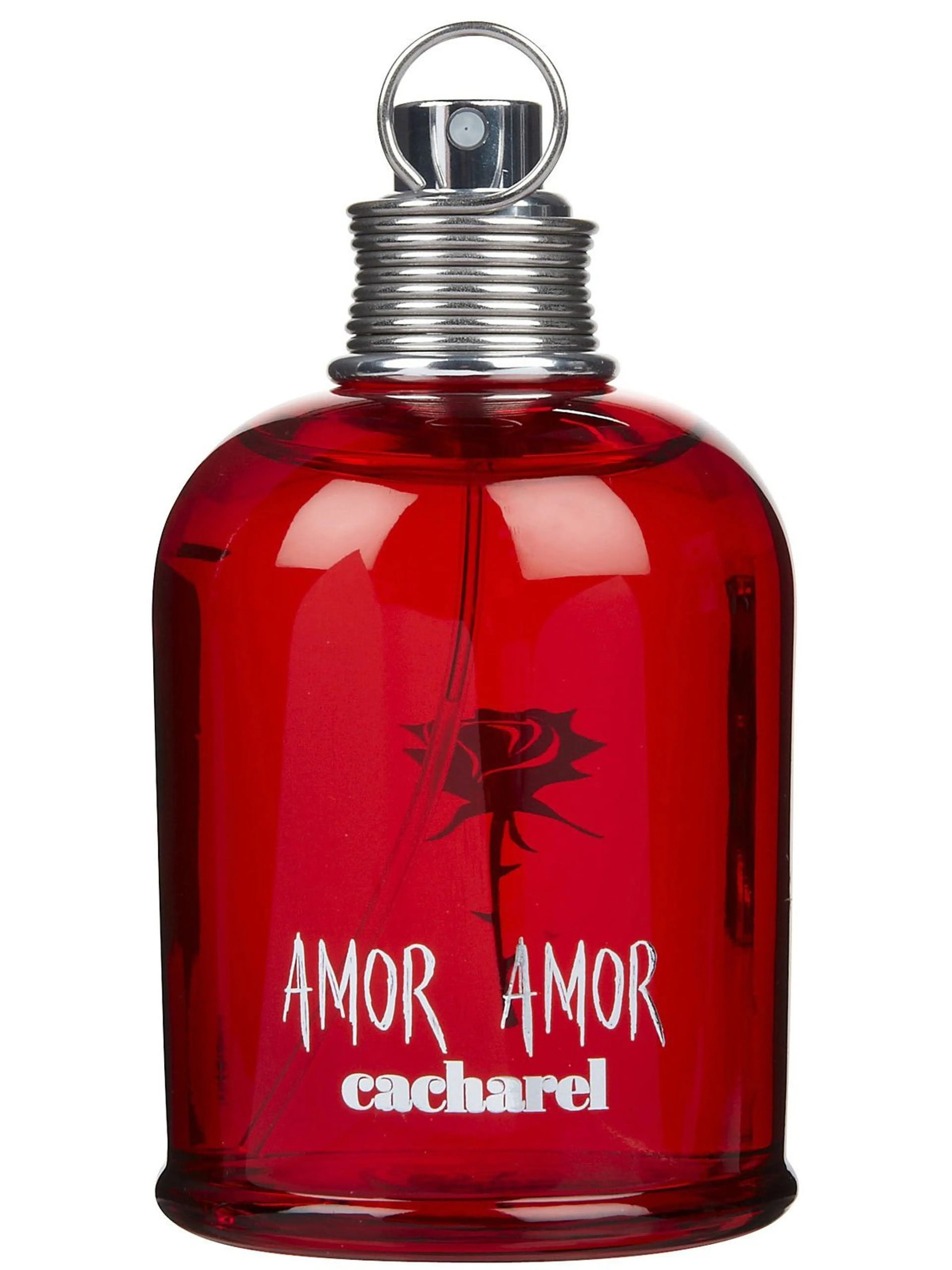 Amor Amor