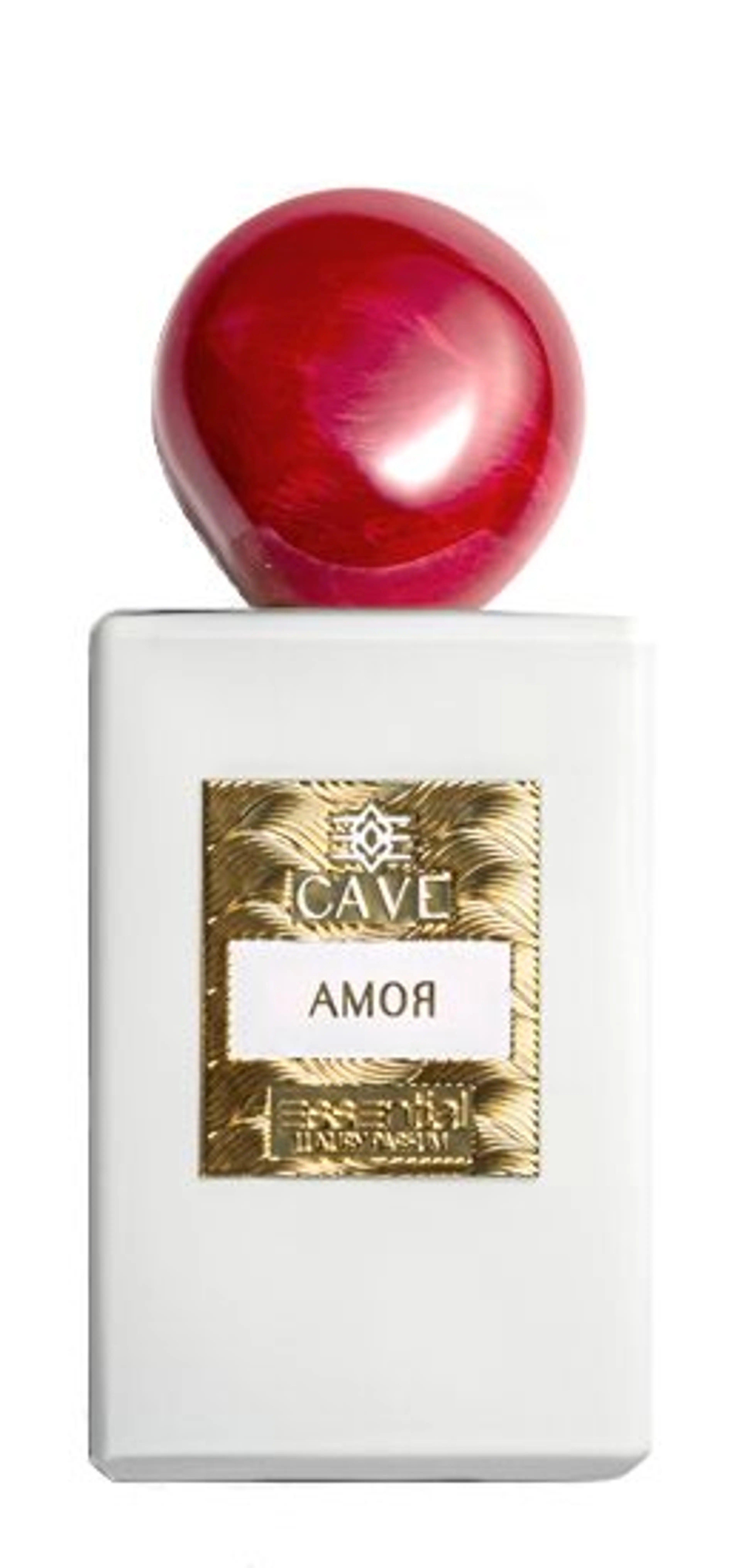 Amor