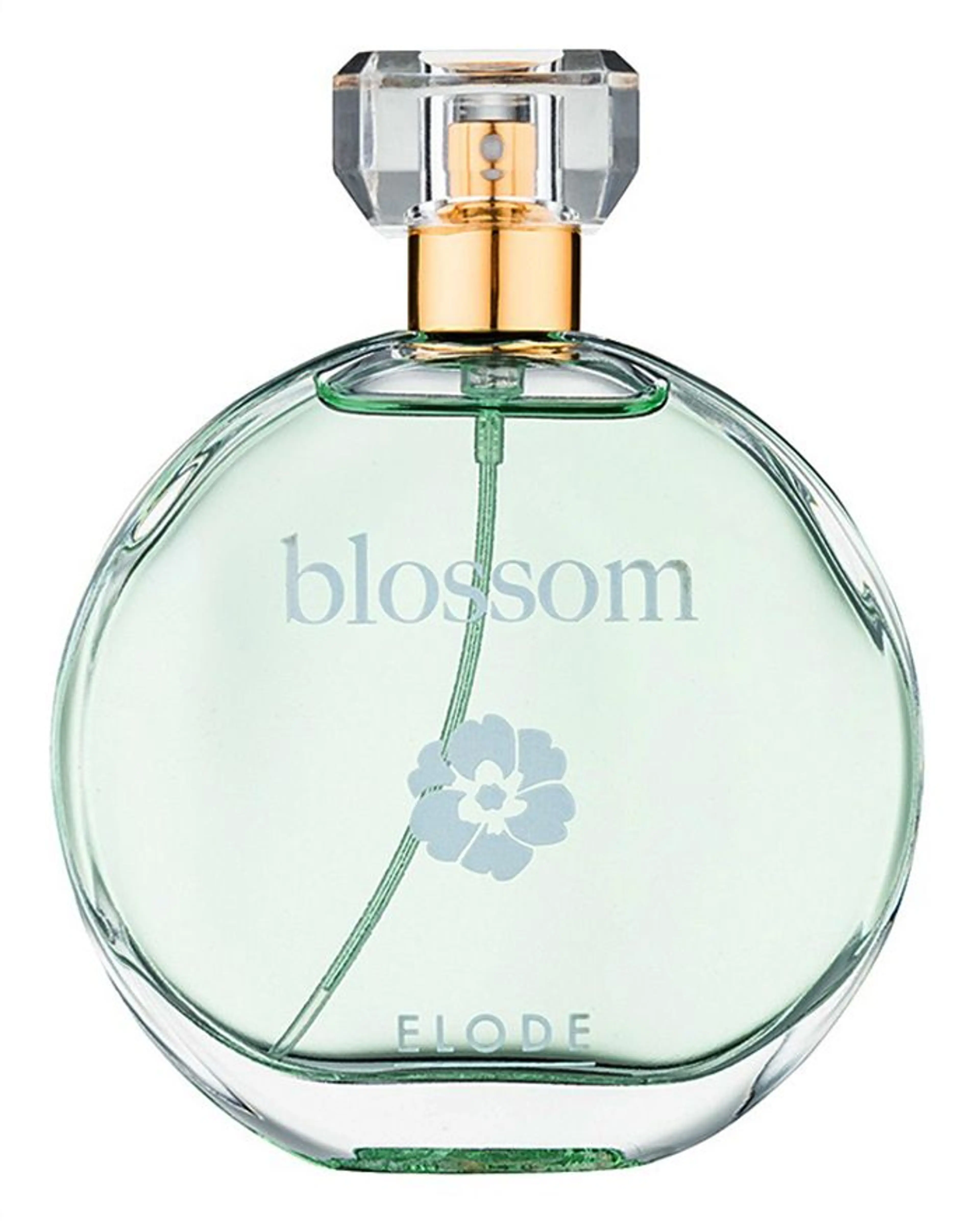 Blossom