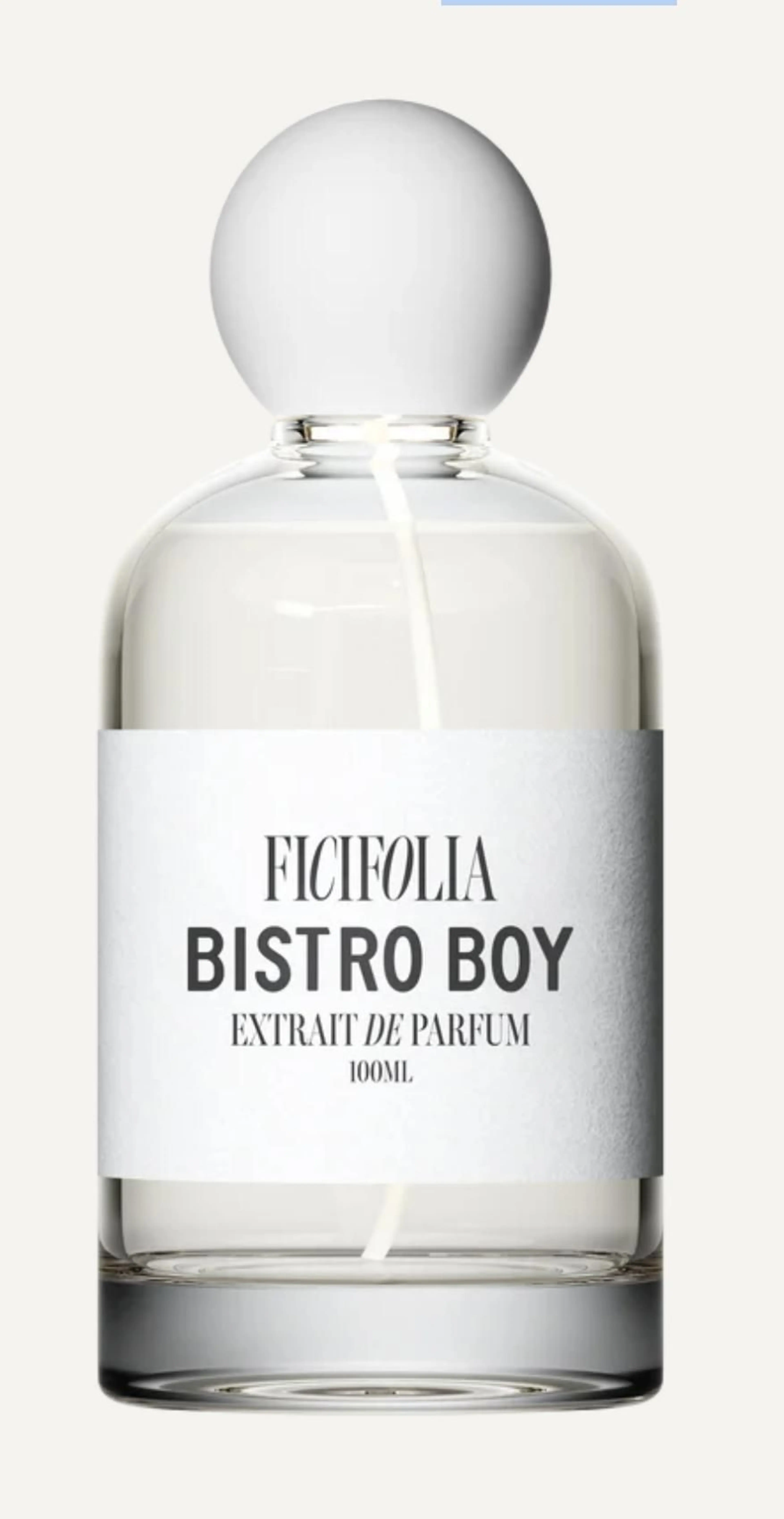 Bistro Boy