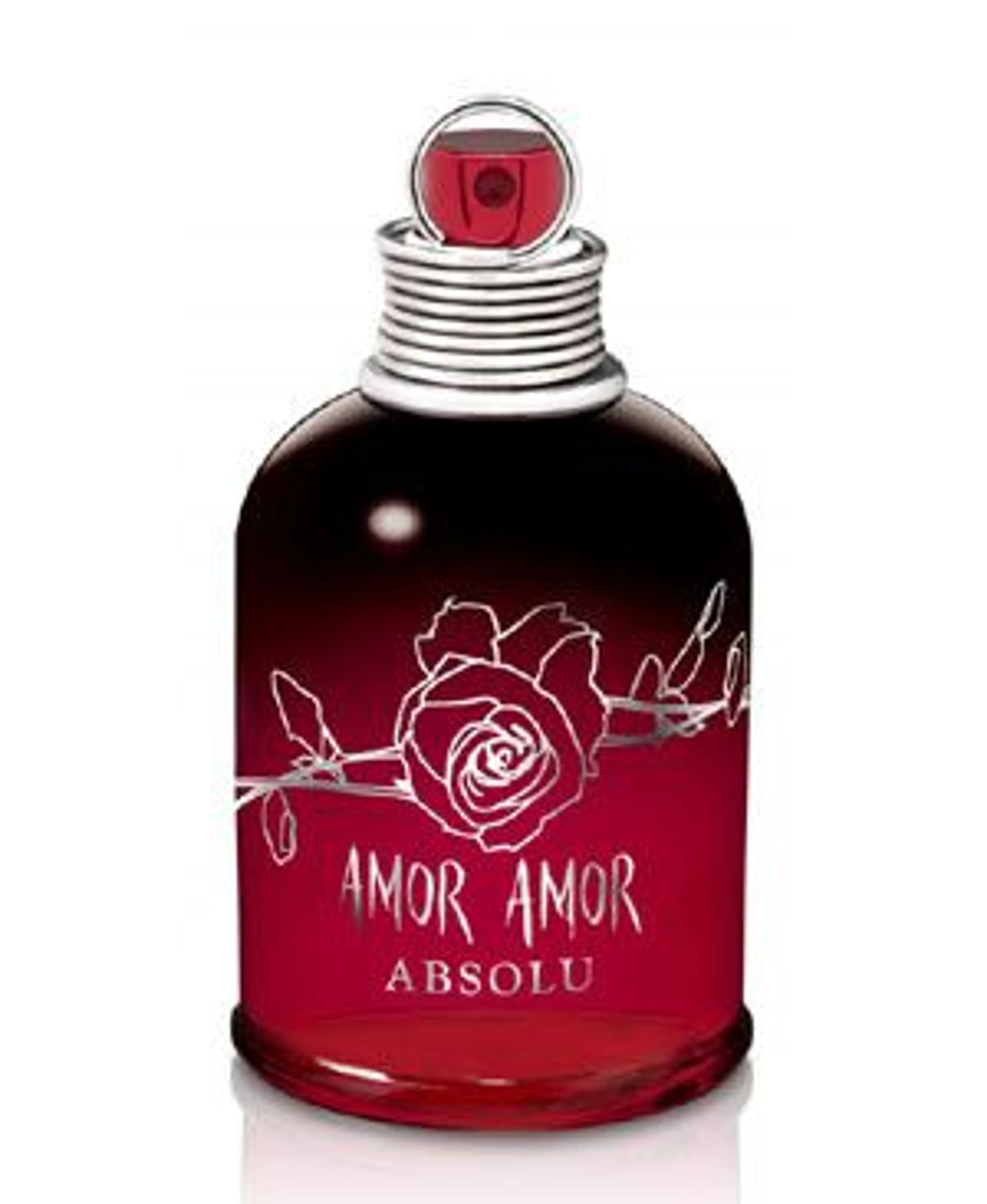 Amor Amor Absolu