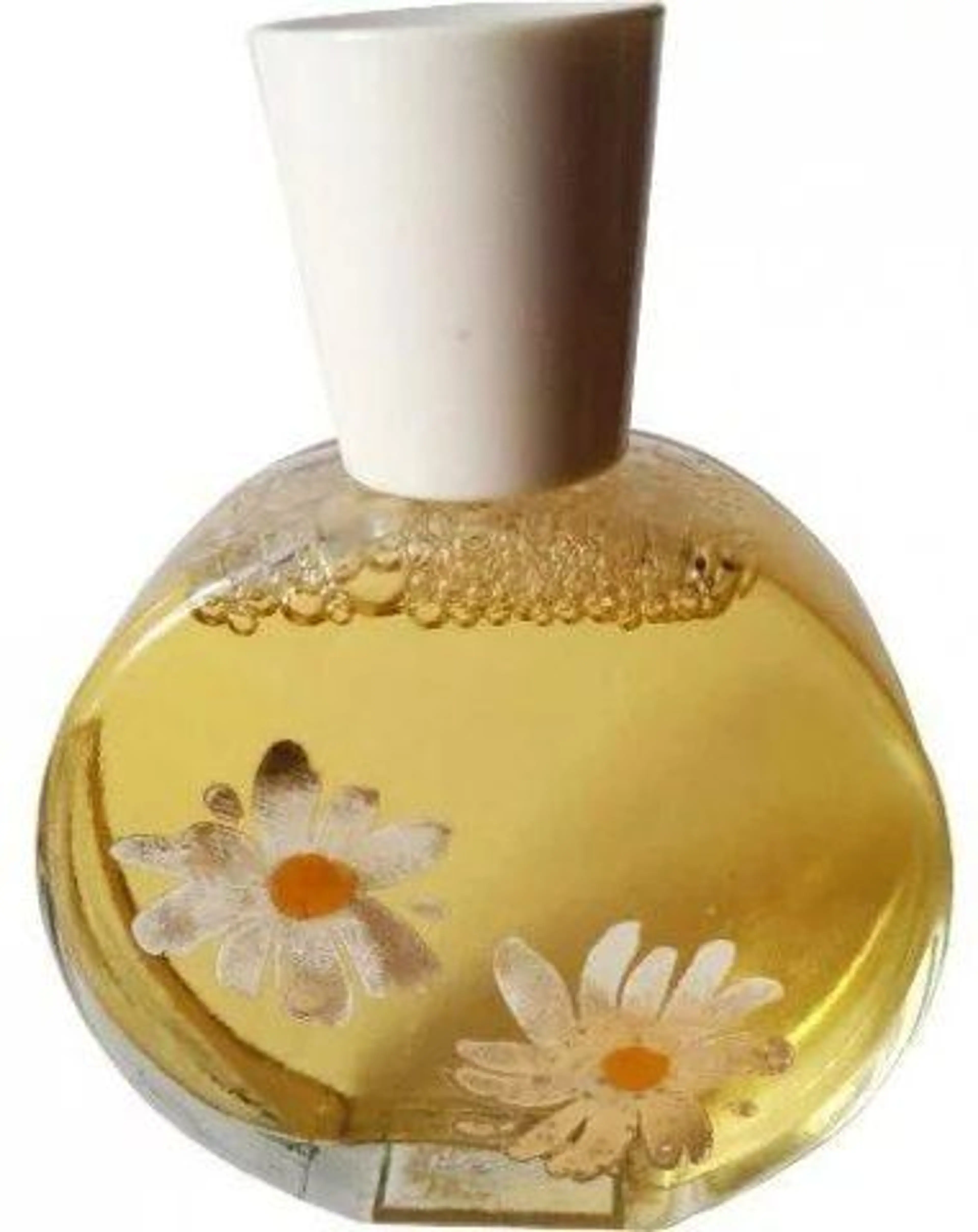 Delicate Daisy