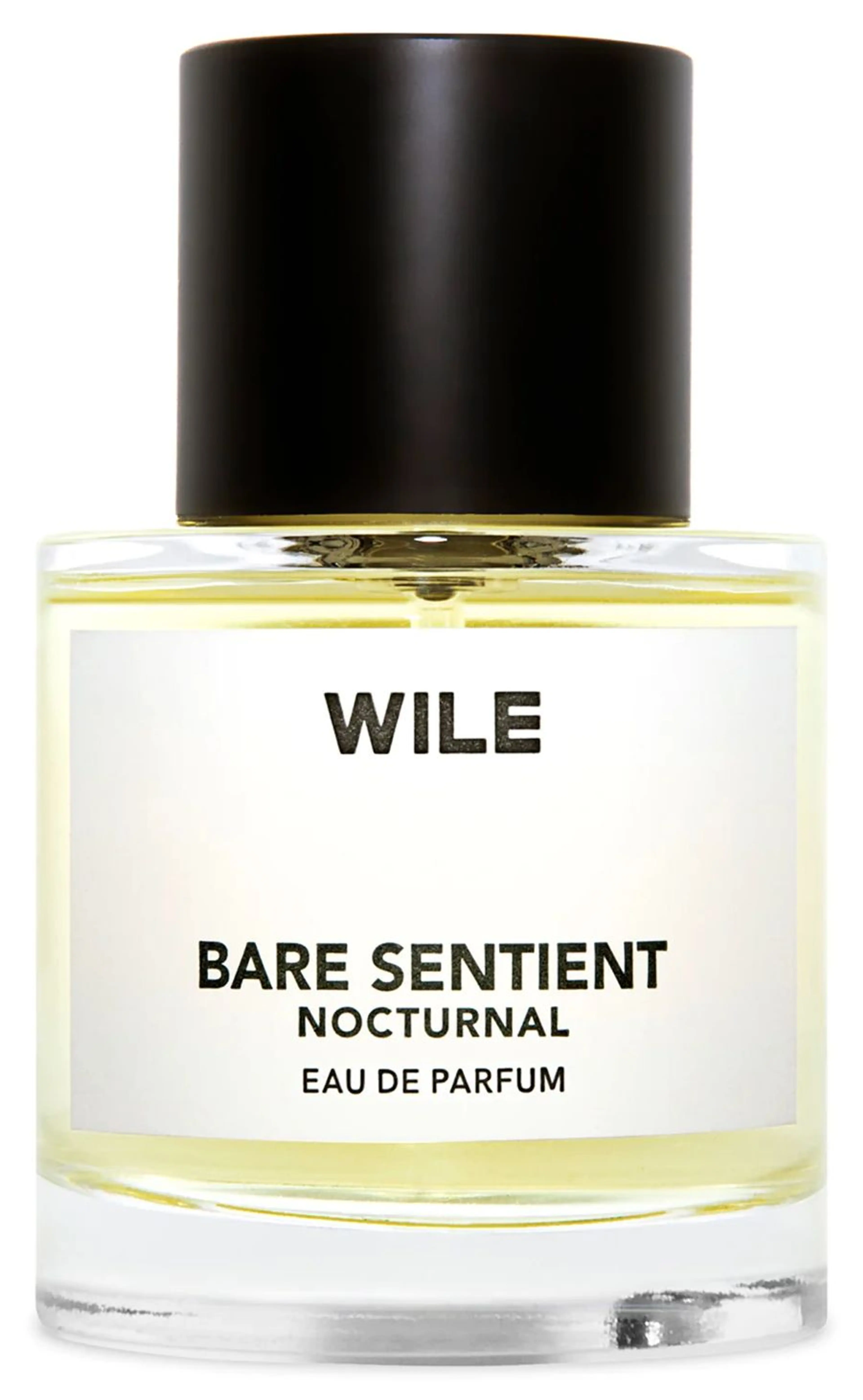 Bare Sentient Nocturnal