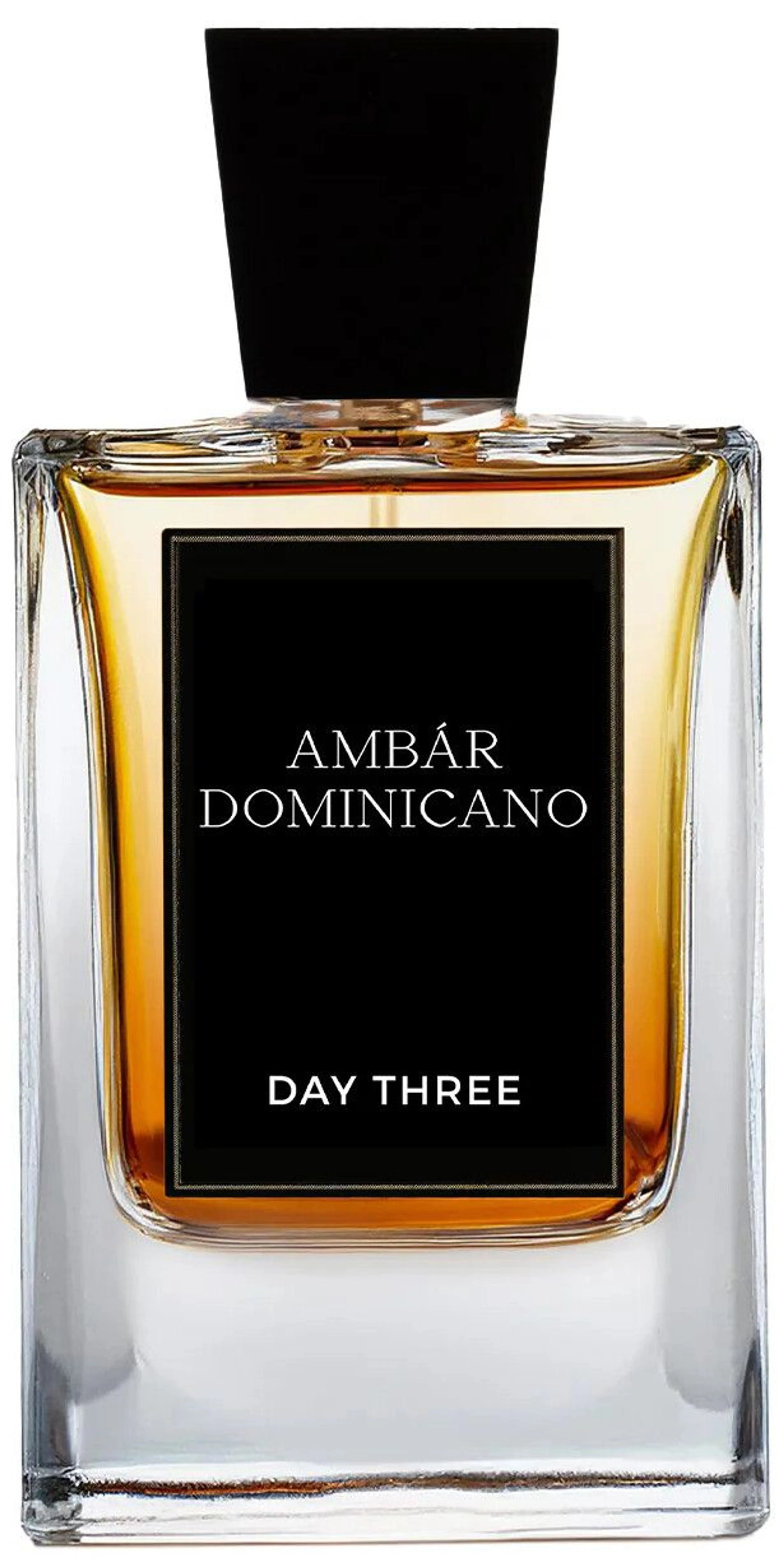 Ámbar Dominicano