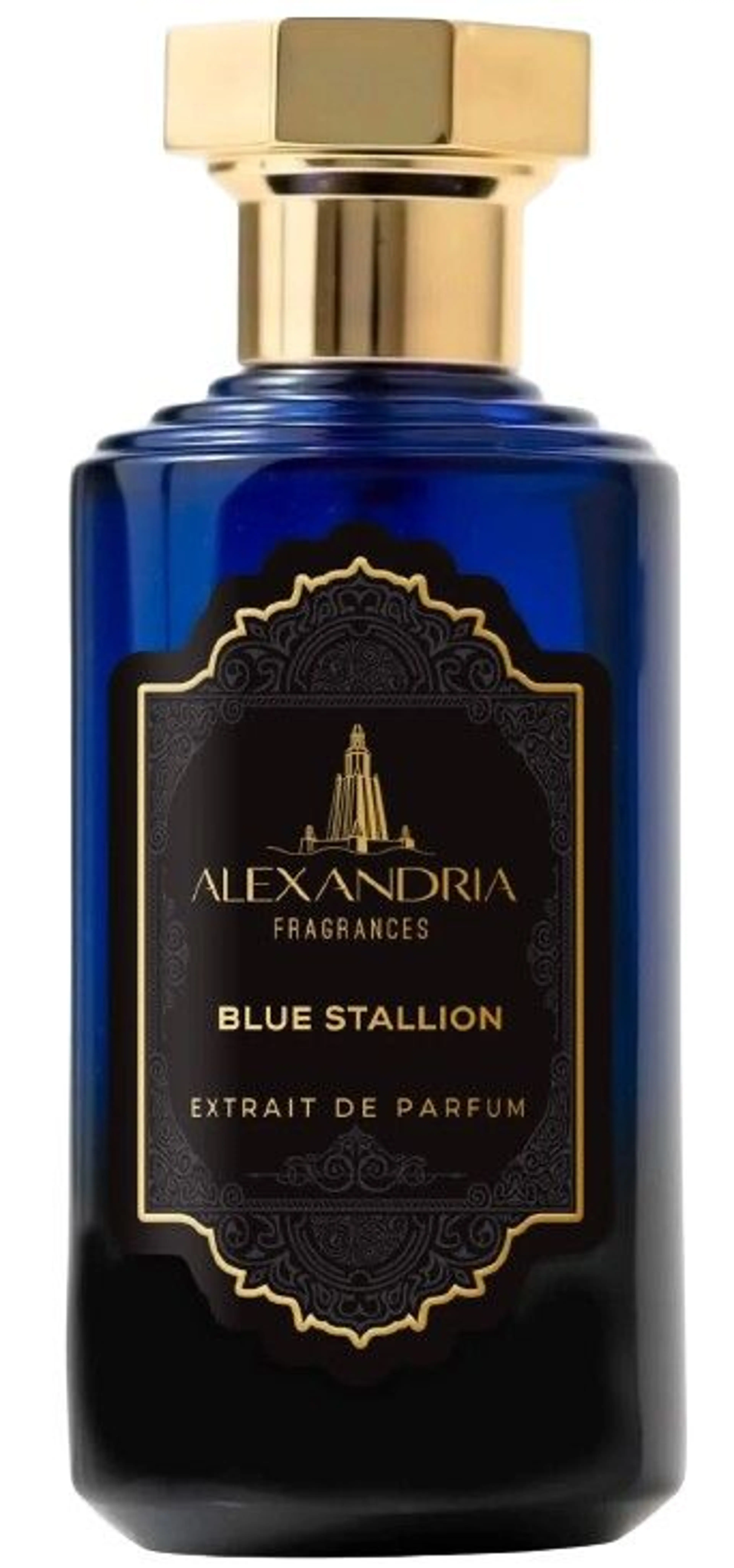 Blue Stallion
