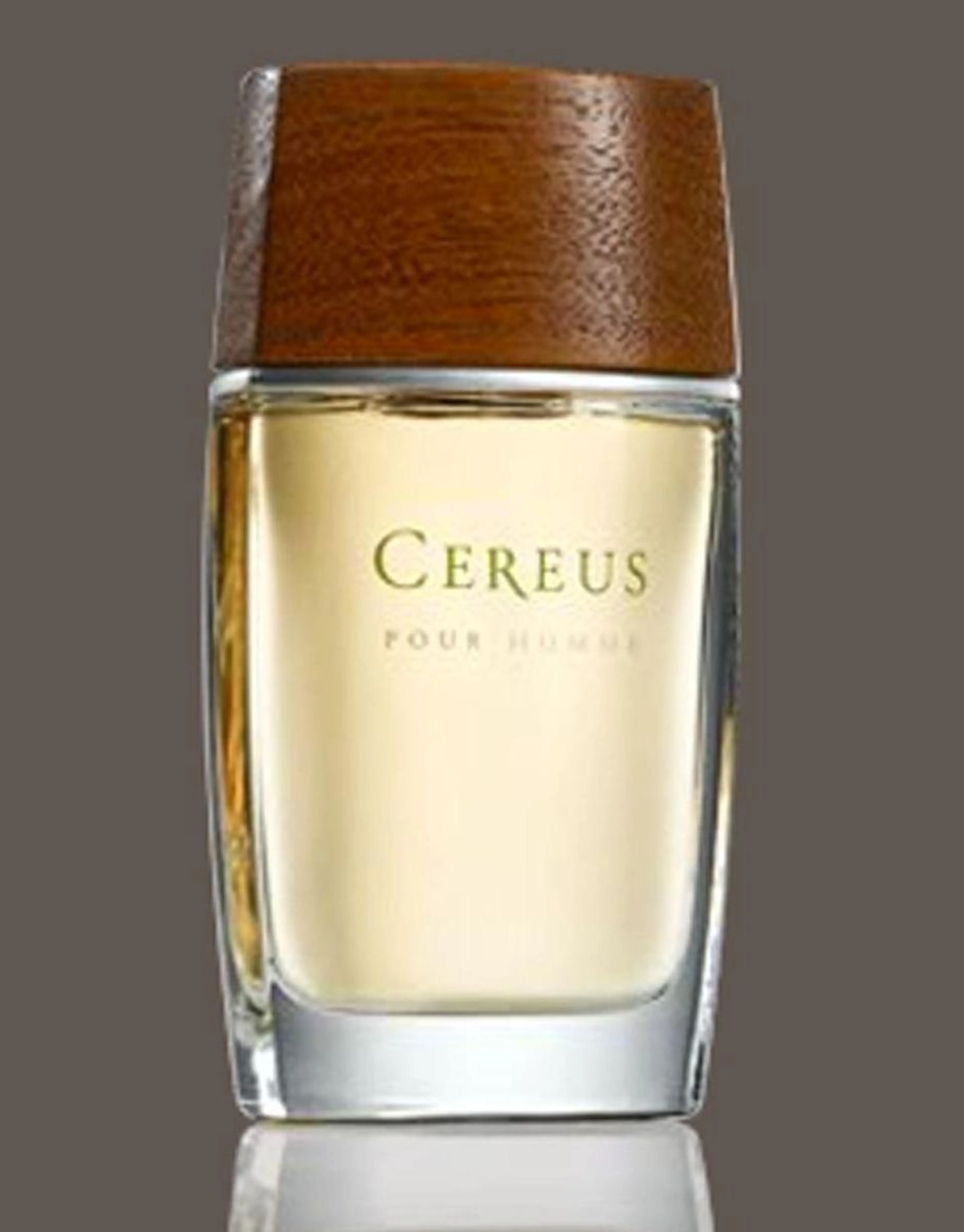 Cereus No.7