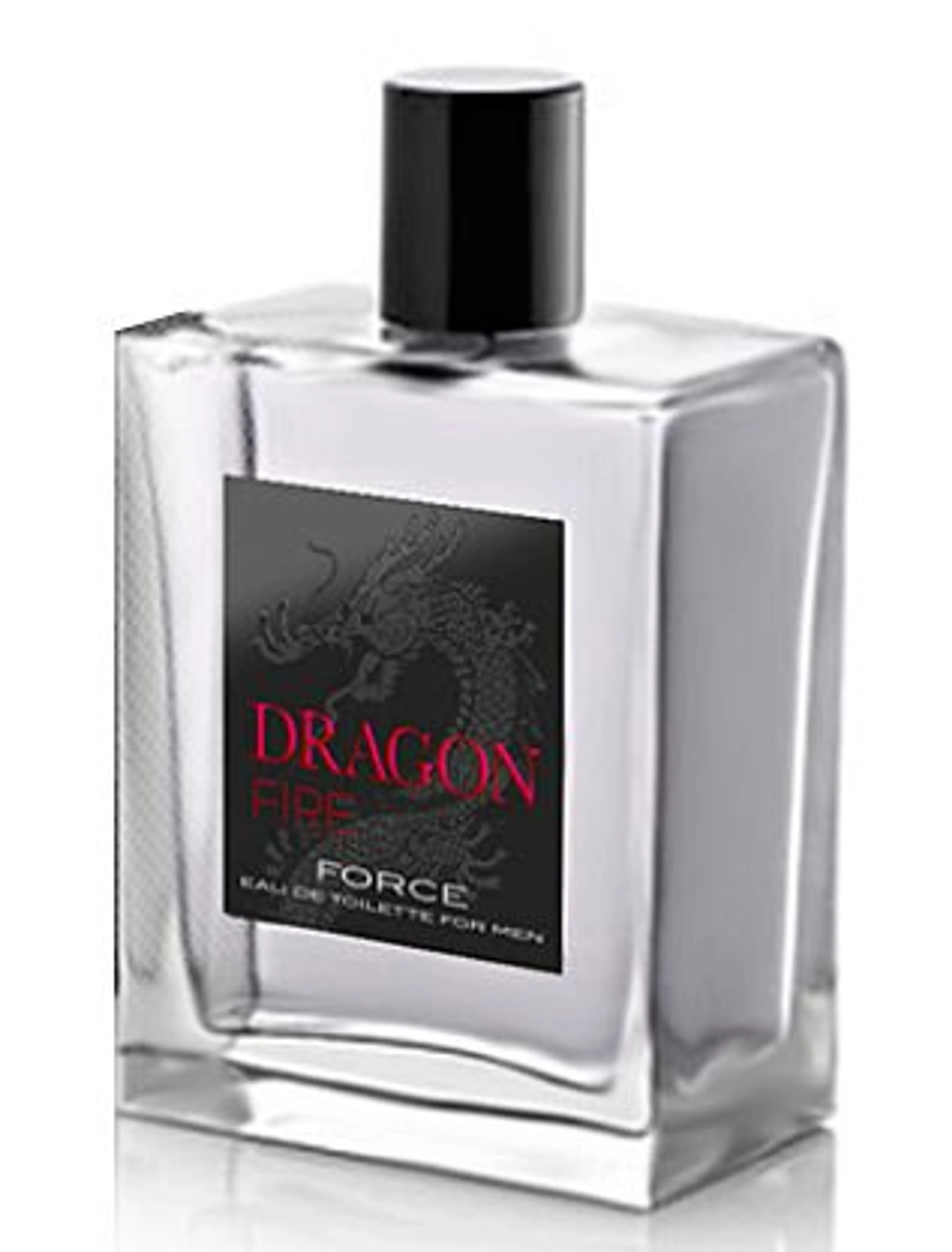 Dragon Fire Force