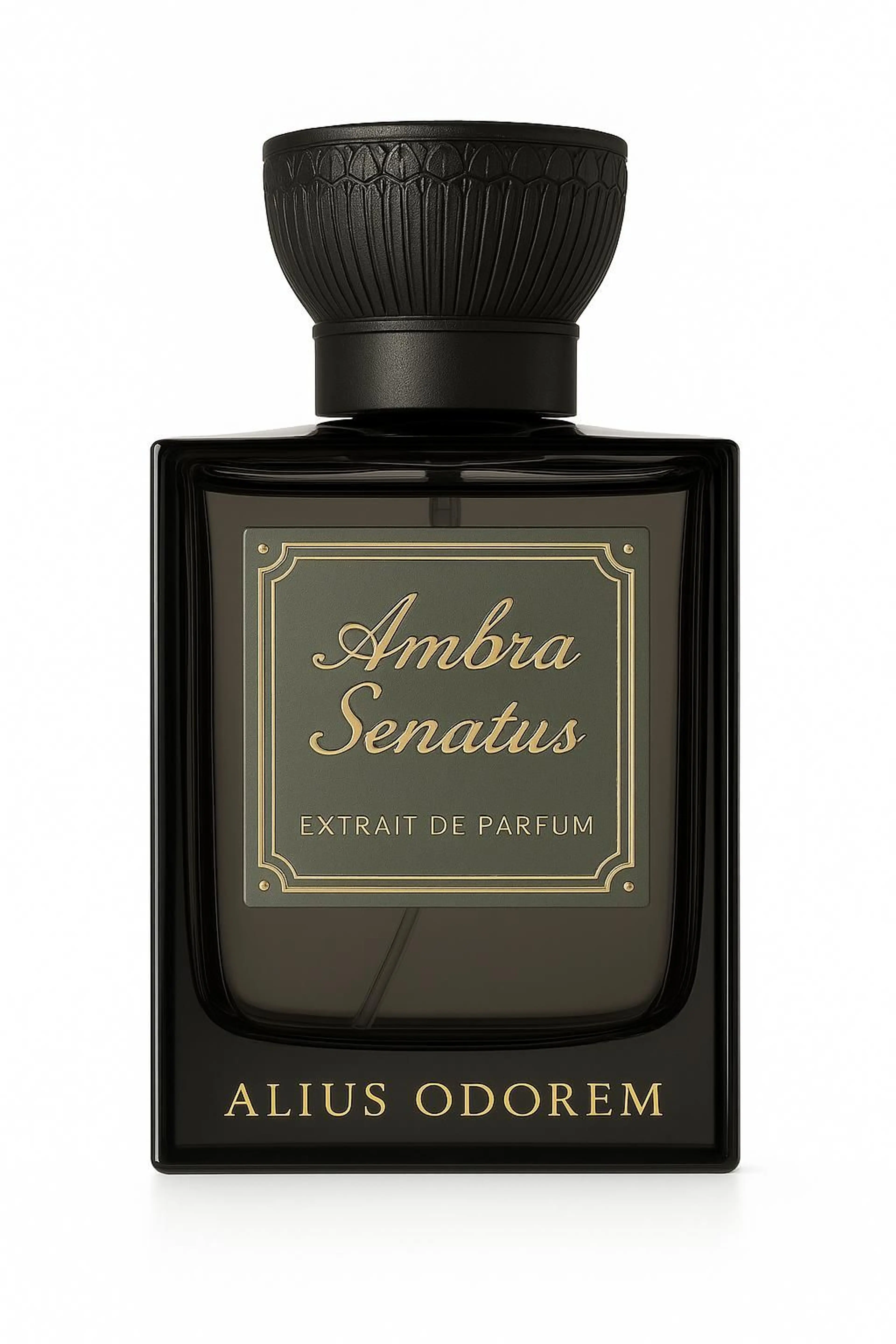 Ambra Senatus