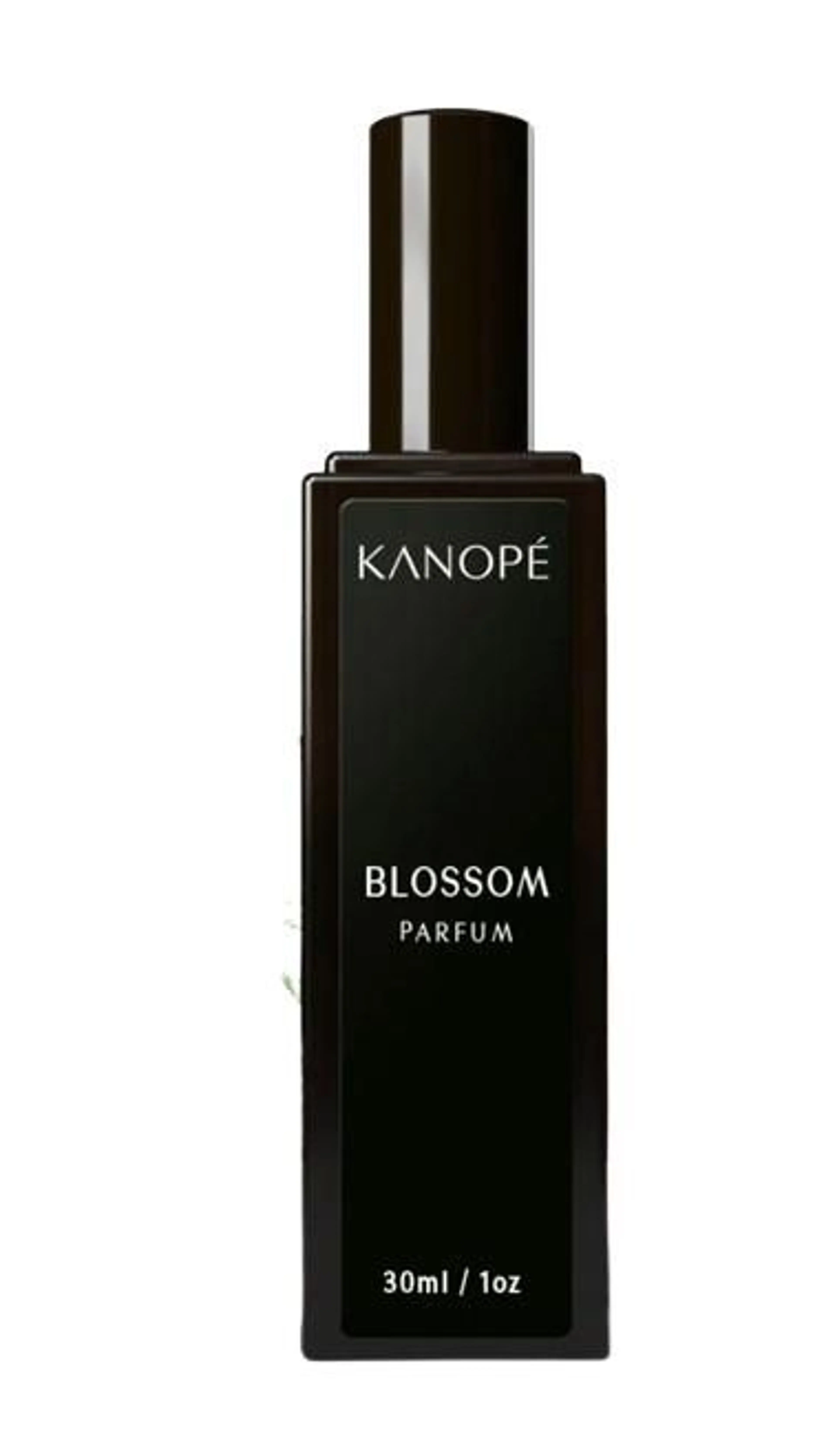Blossom - Spring Awakening