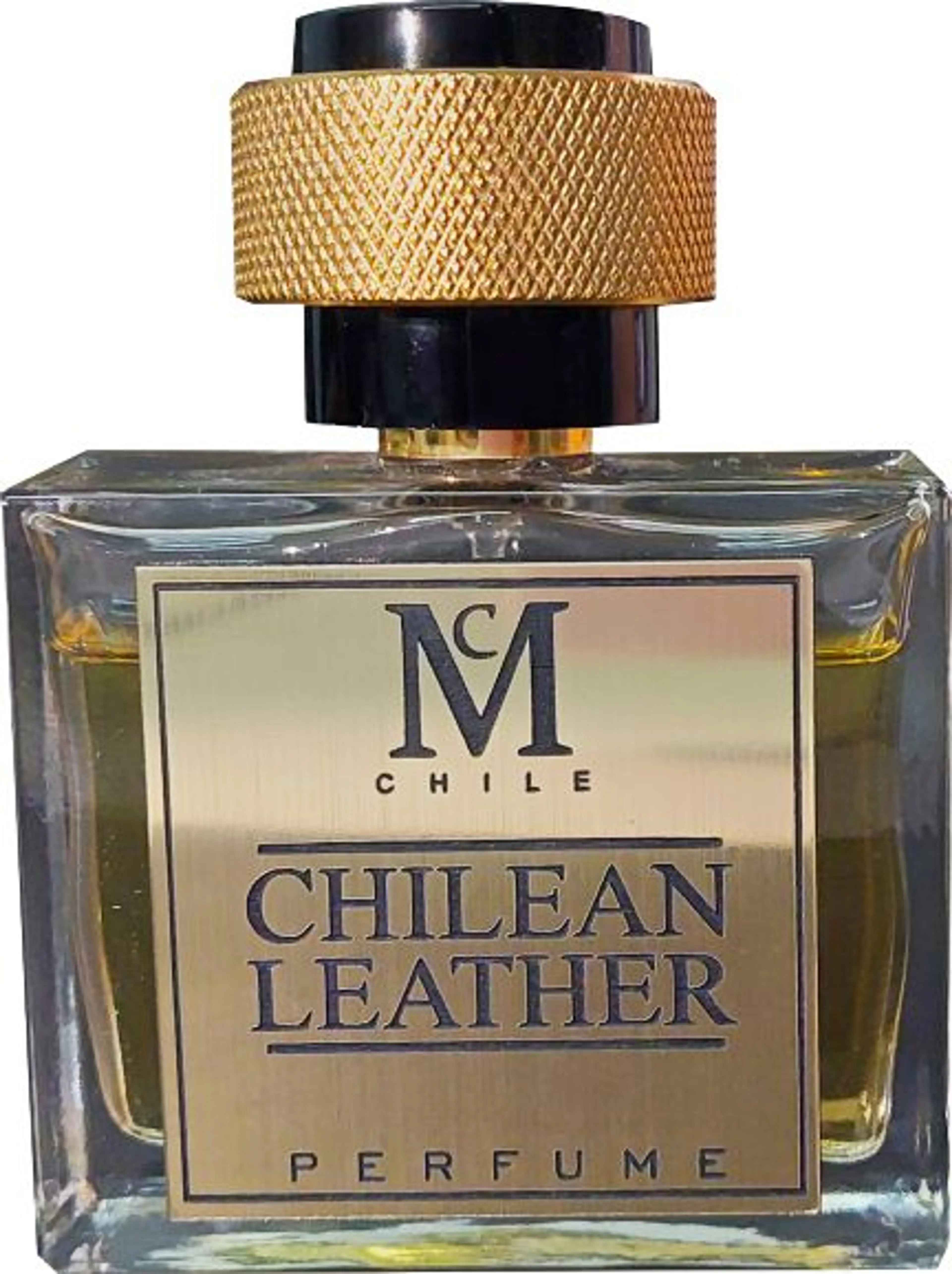 Chilean Leather