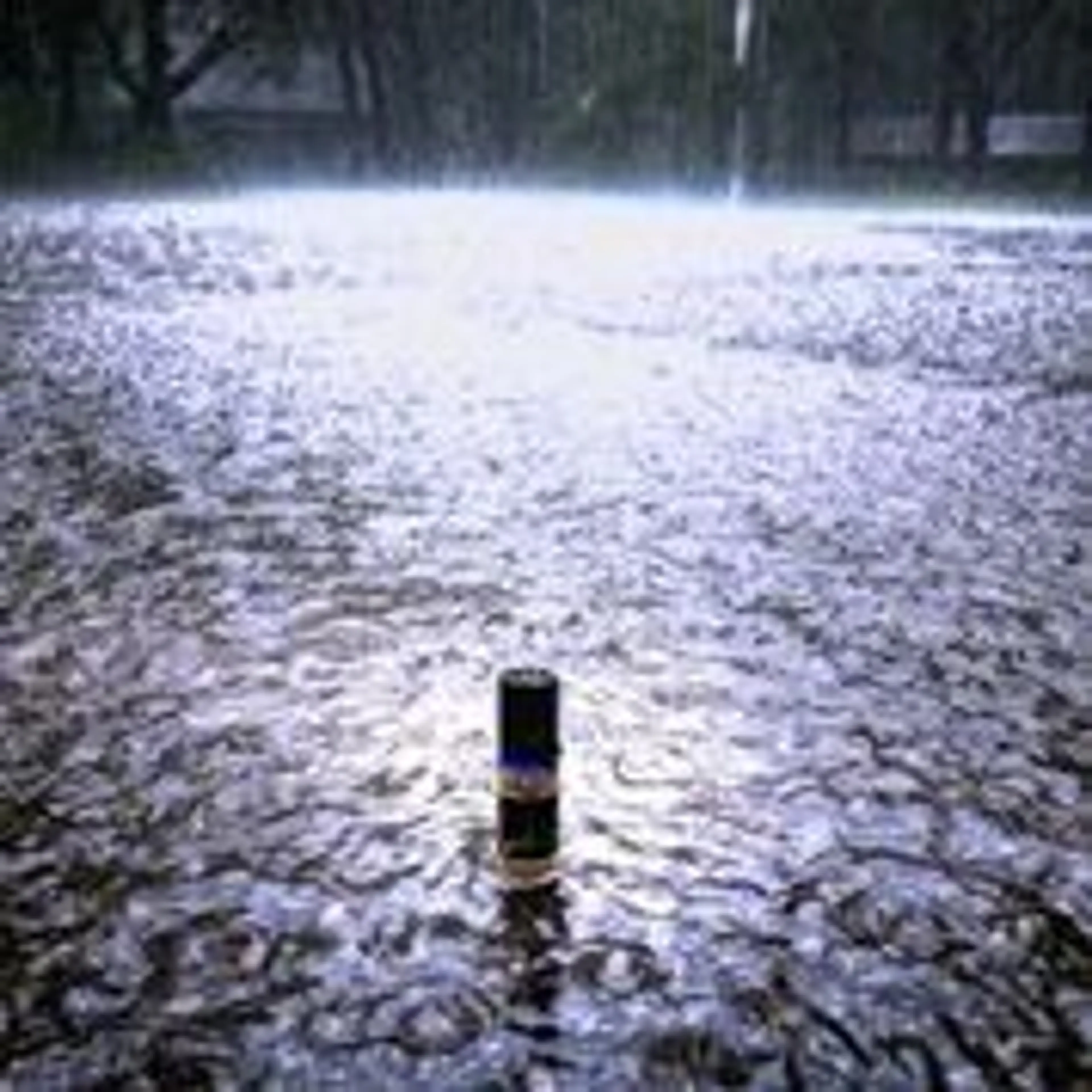 During the Rain