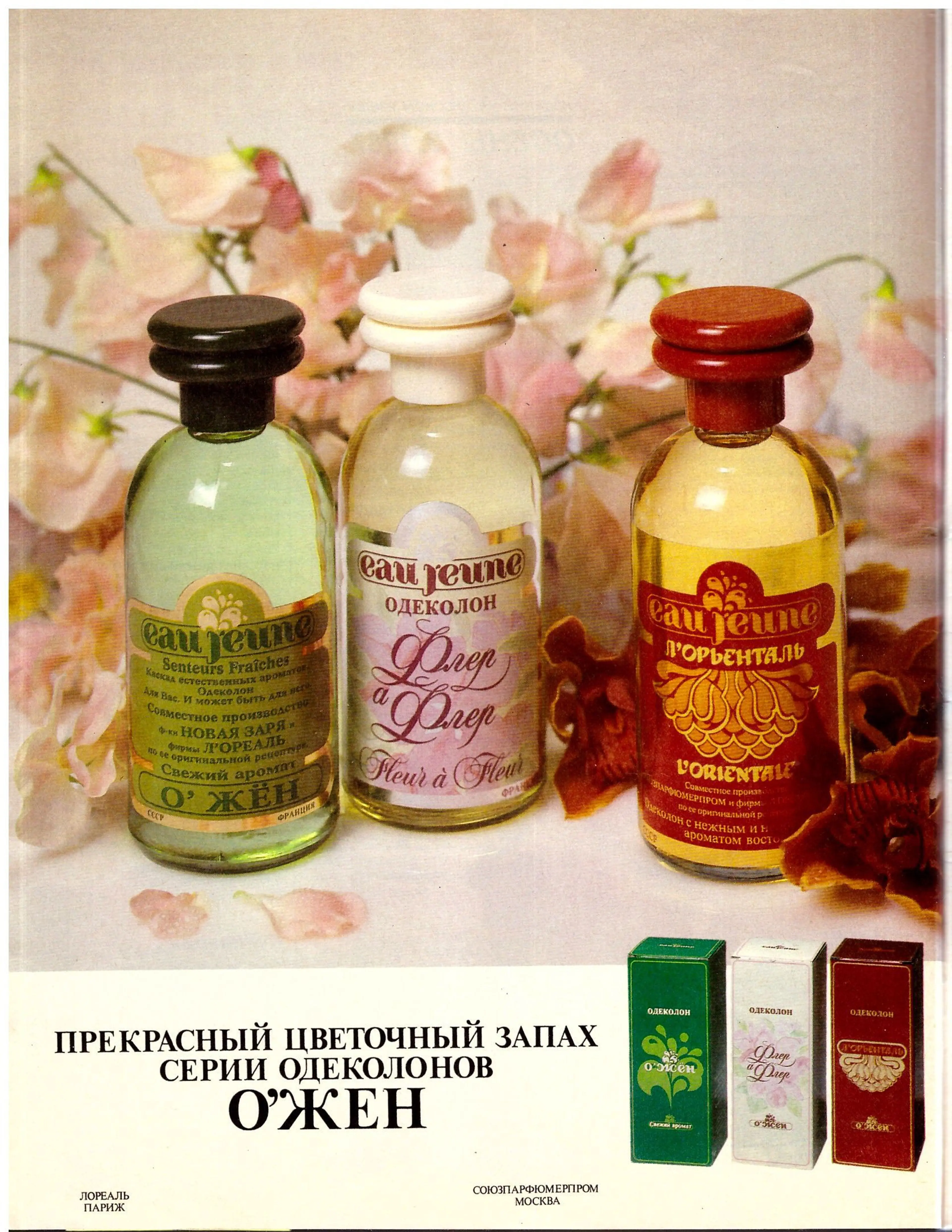Eau Jeune L'Orientale