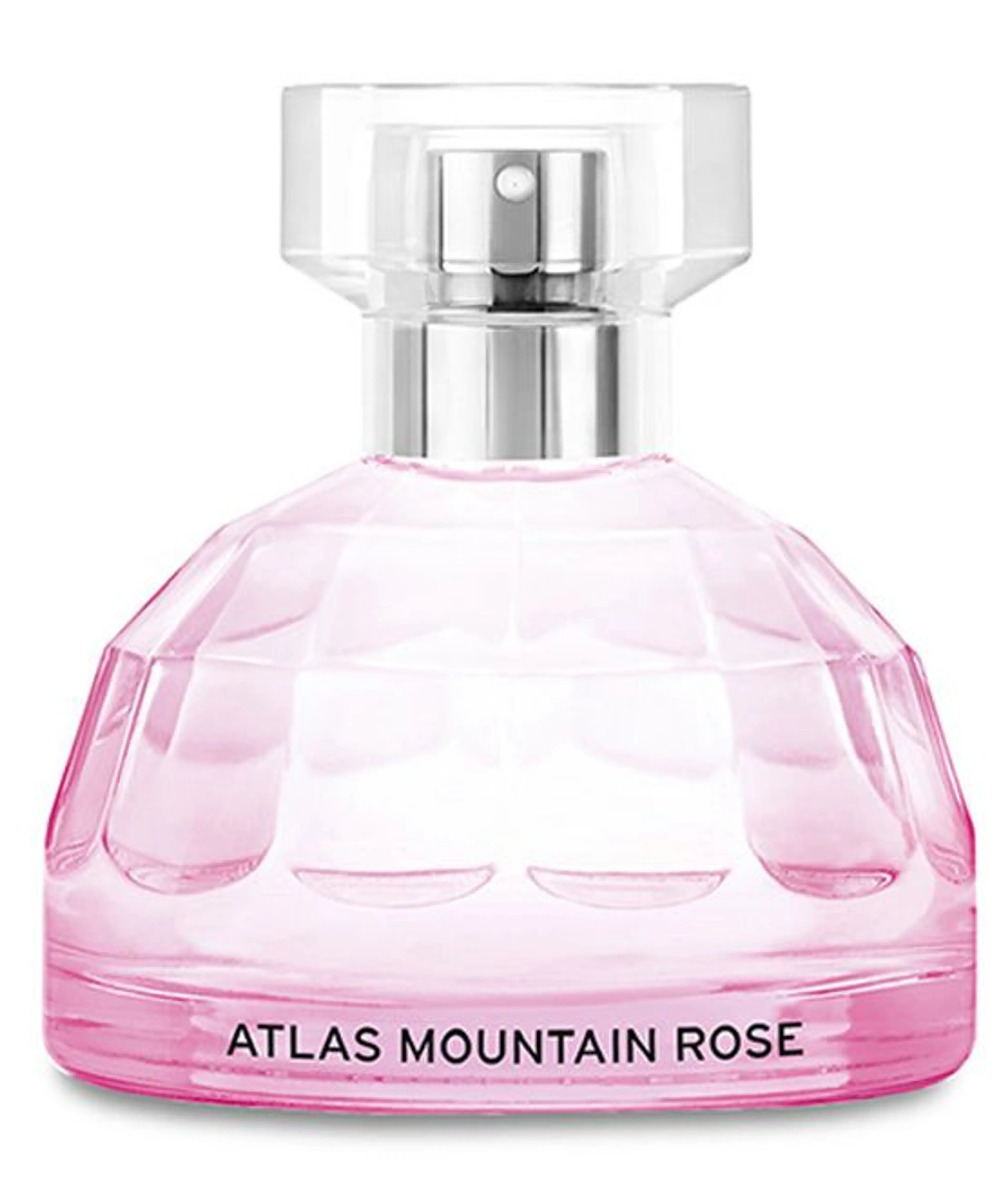 Atlas Mountain Rose