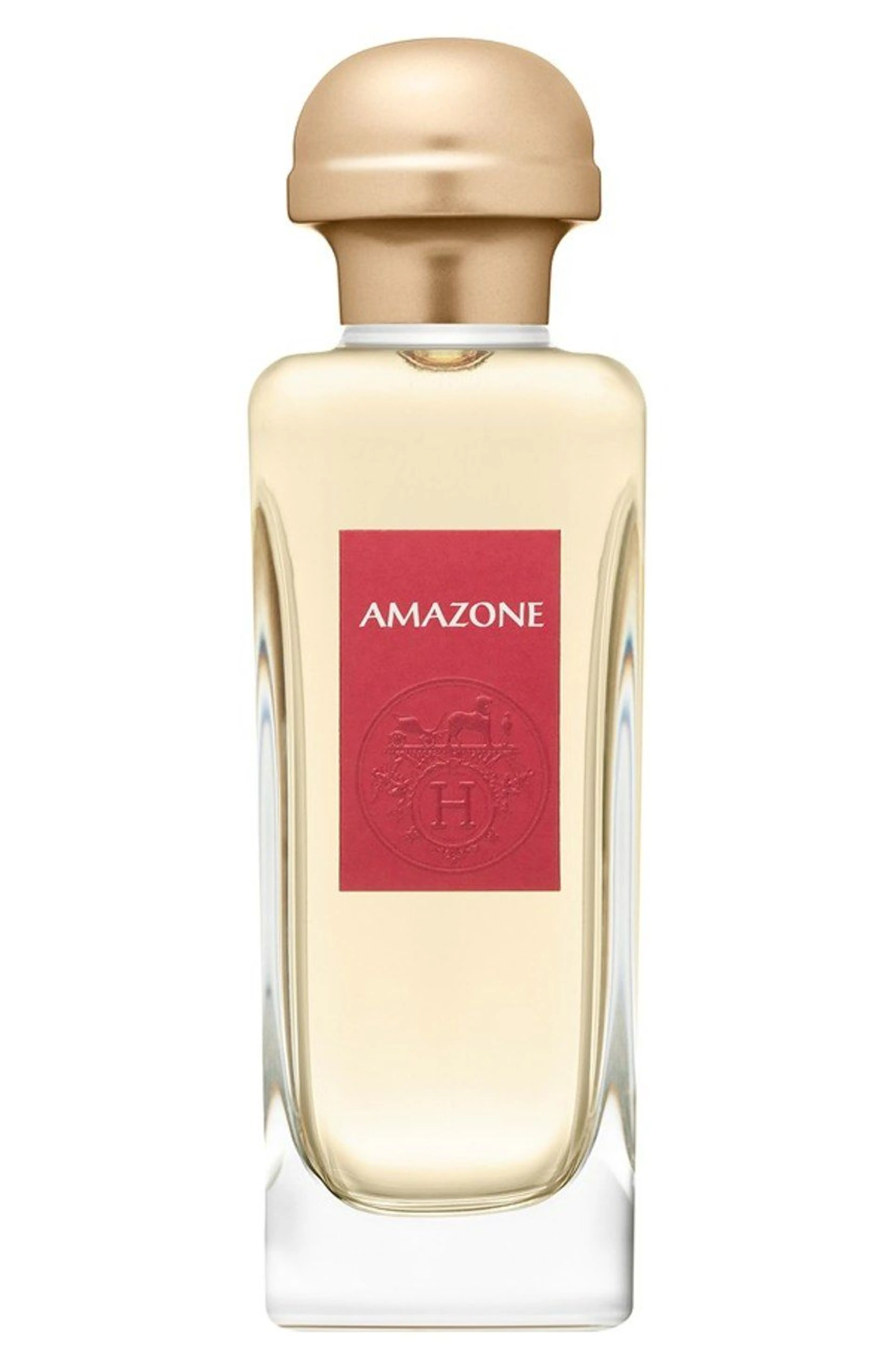 Amazone (2017 re-launch)