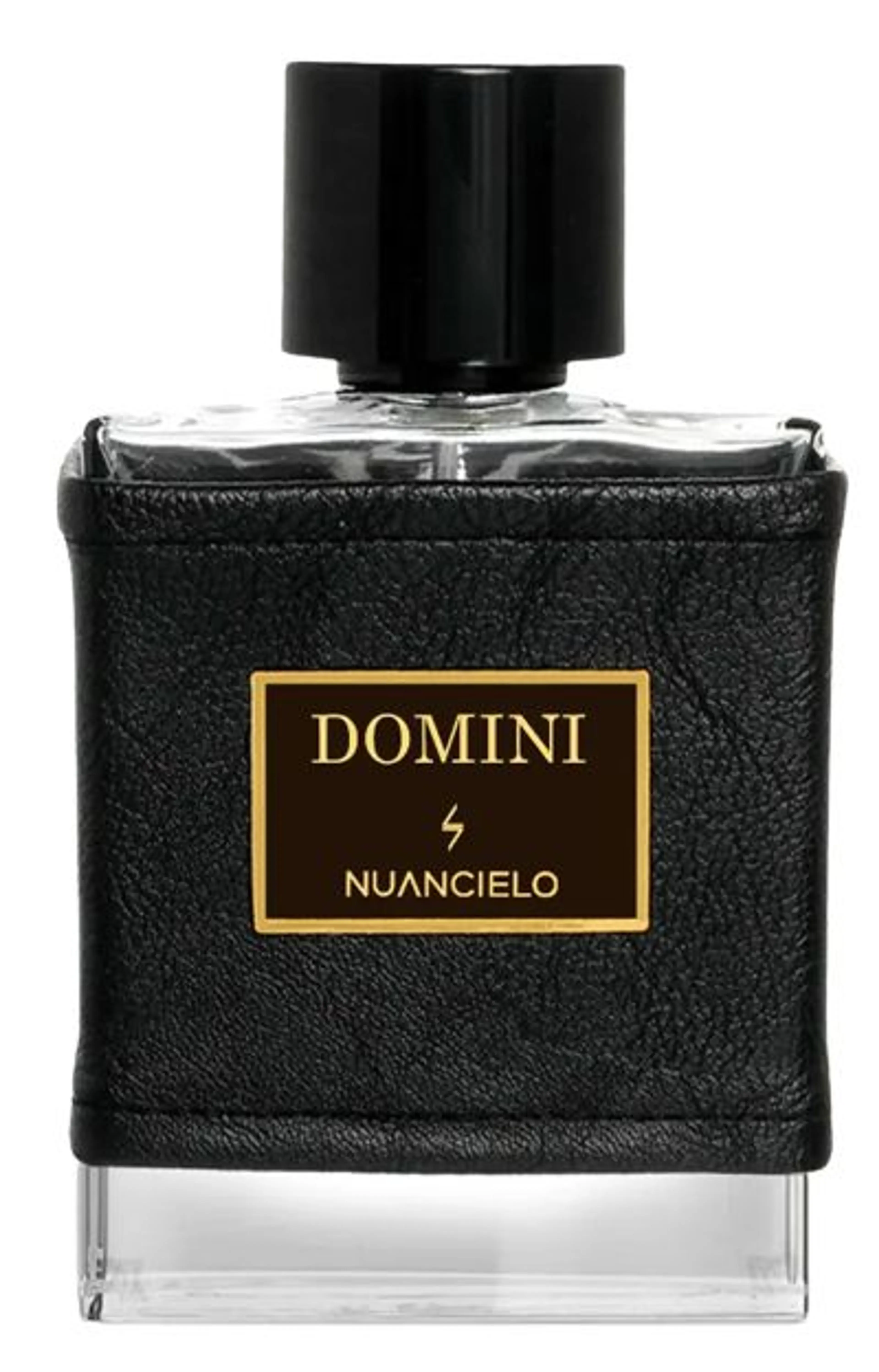 Domini