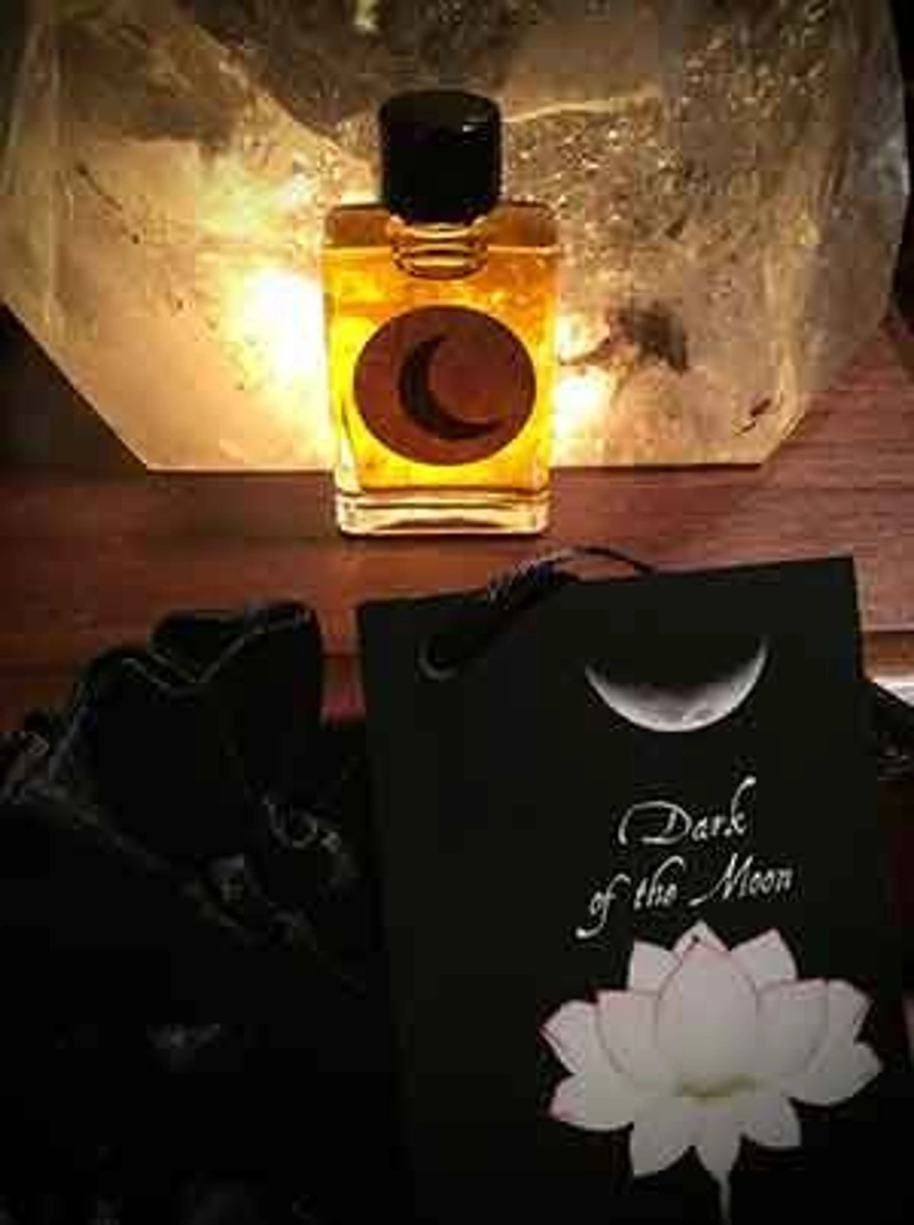 Dark of the Moon